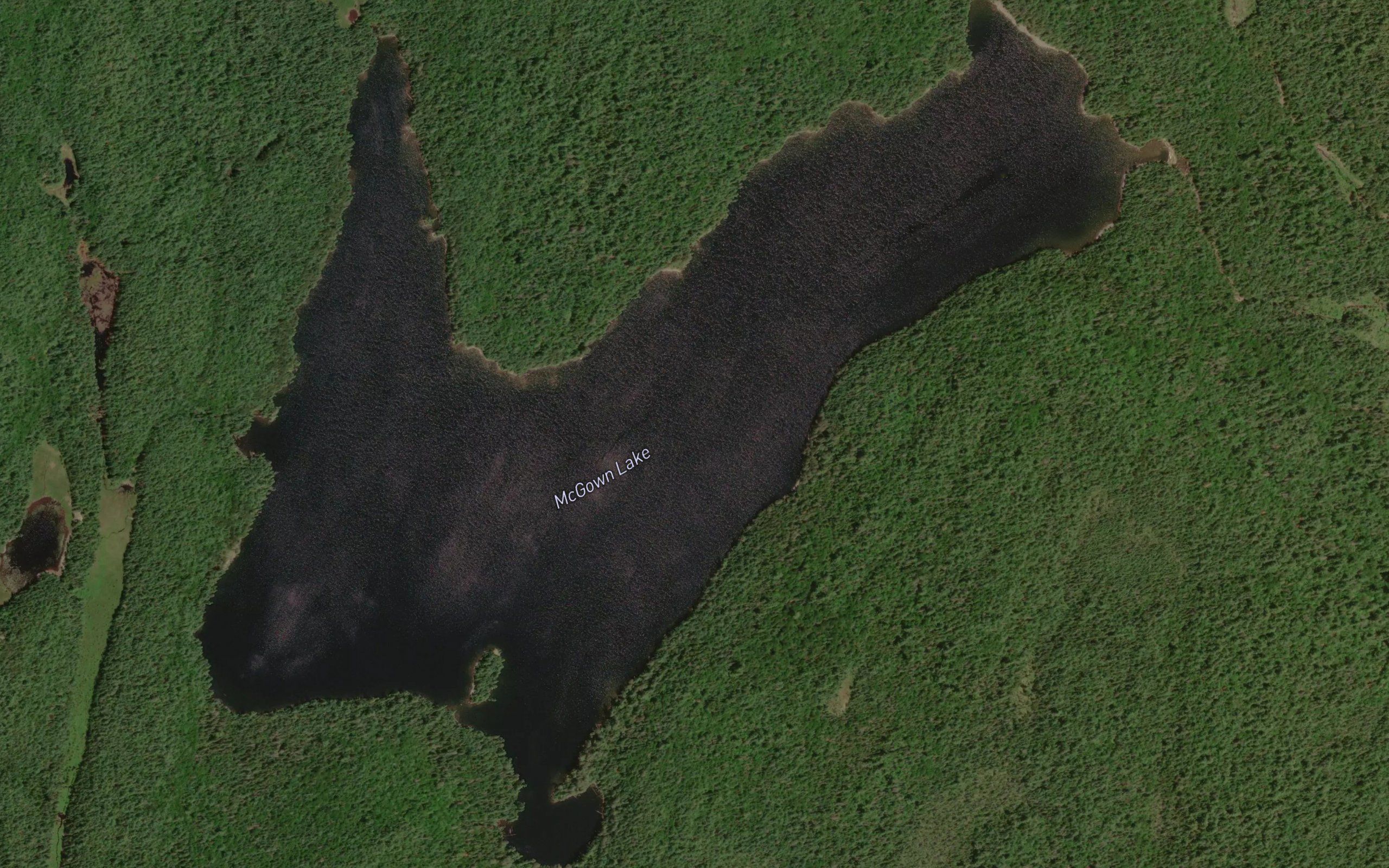 McGown Lake