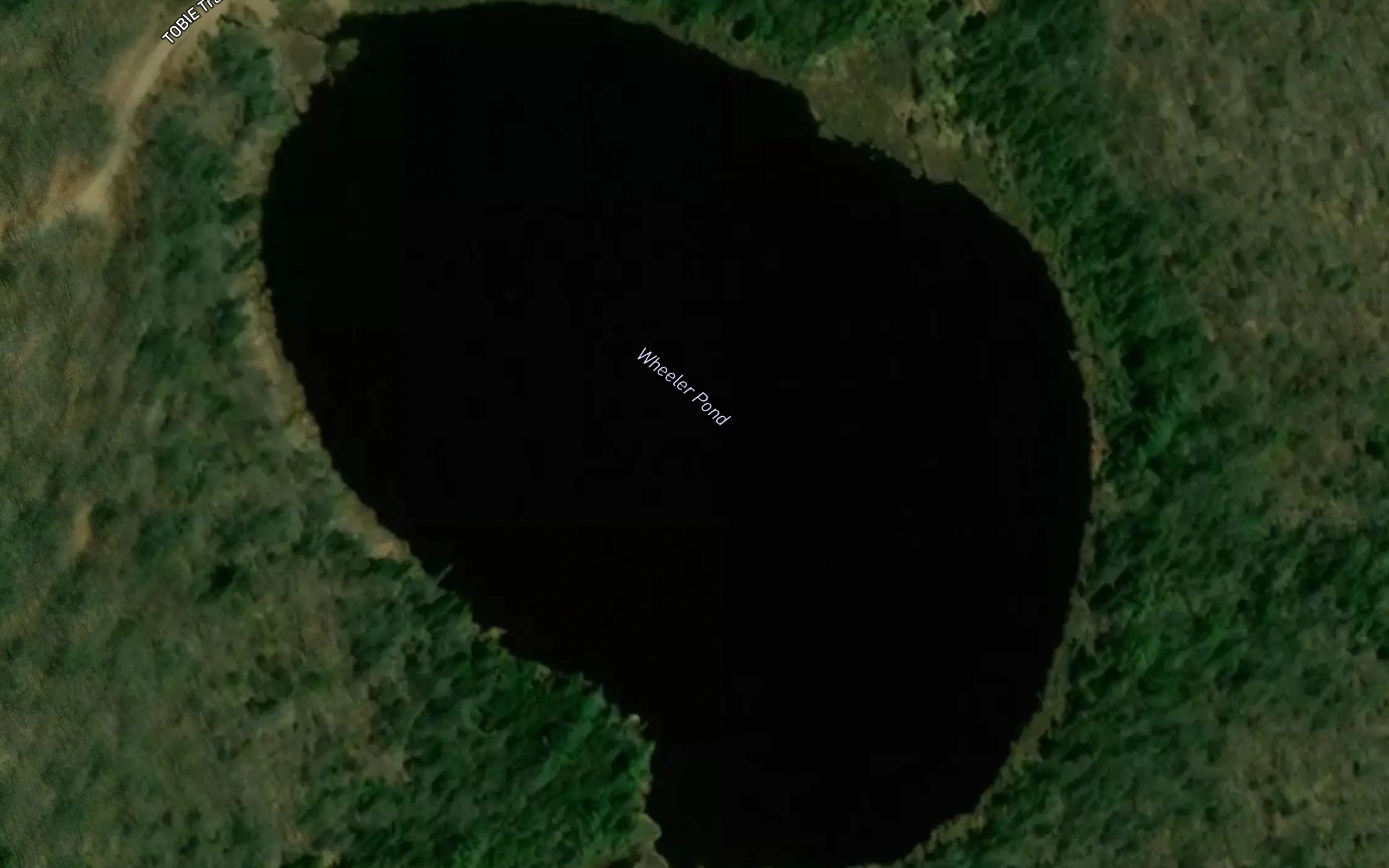Wheeler Pond