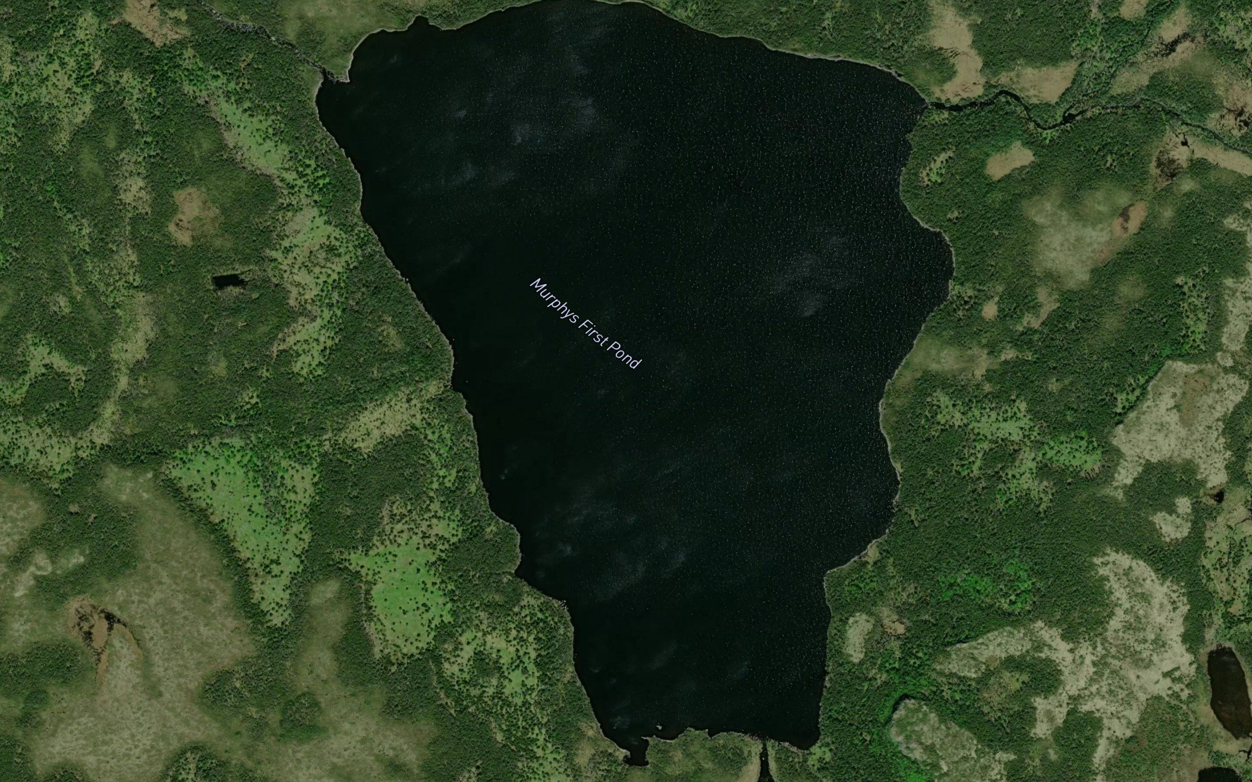 Perlican Pond