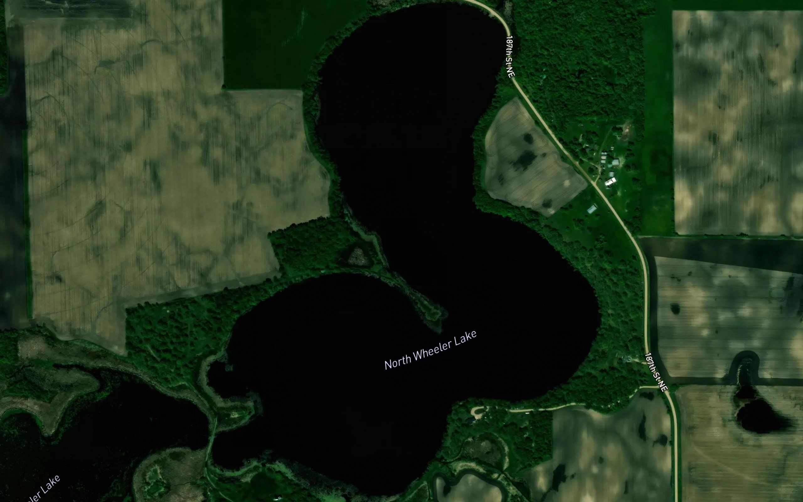 Wheeler Lake