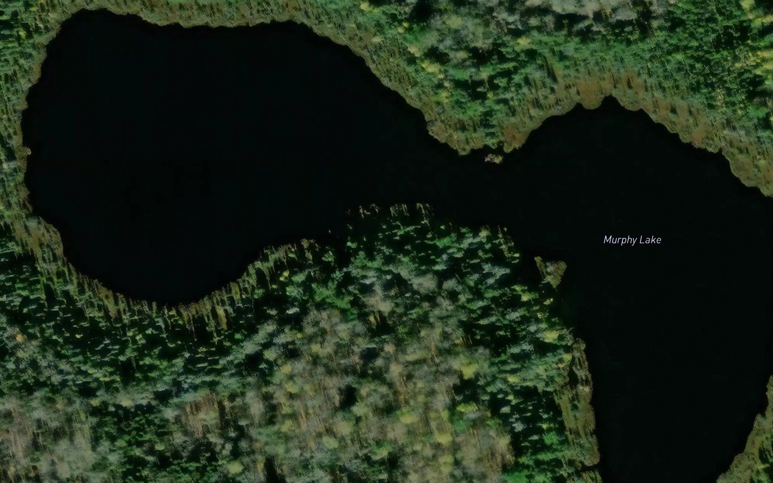 Murphy Lake