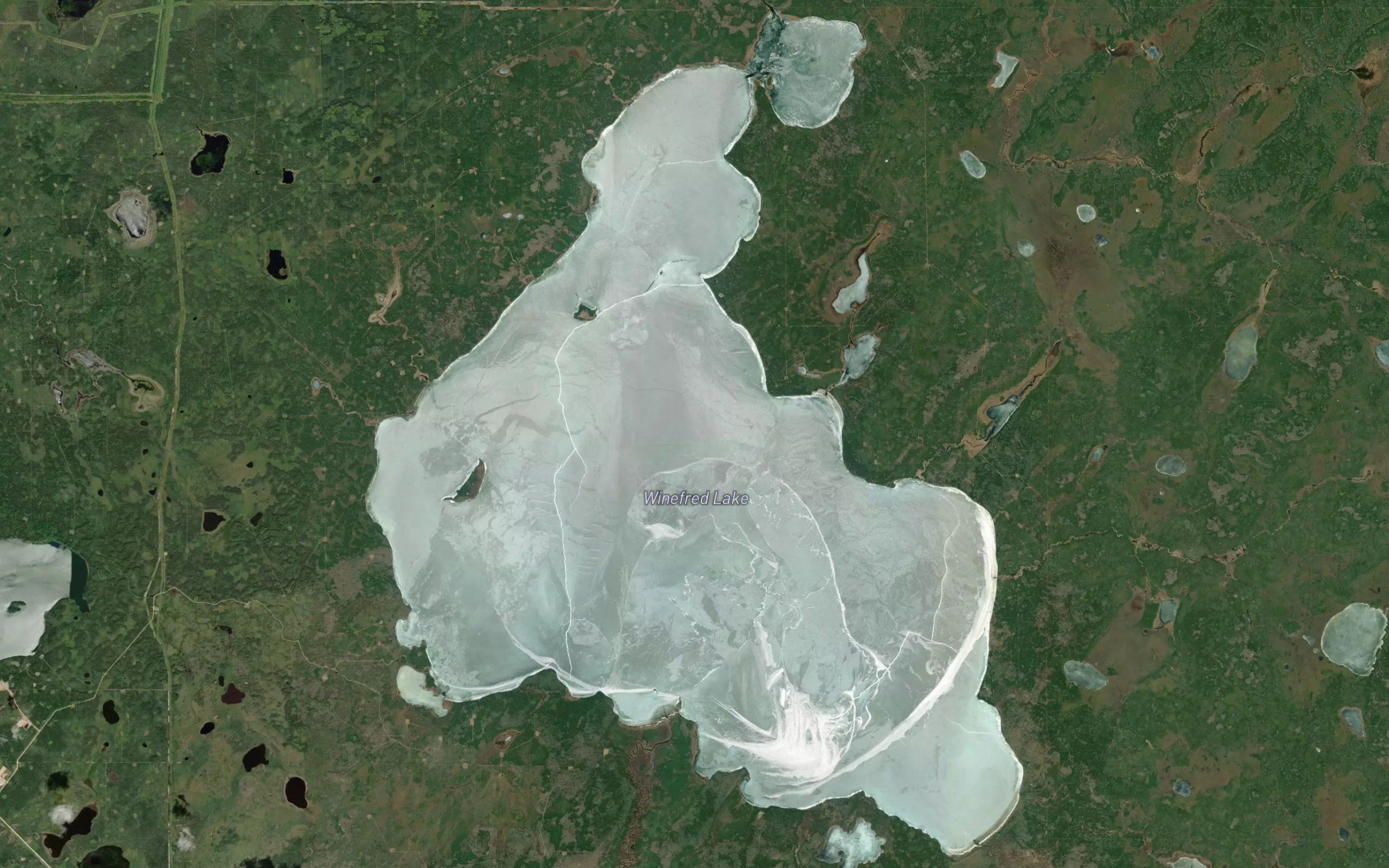 Winefred Lake