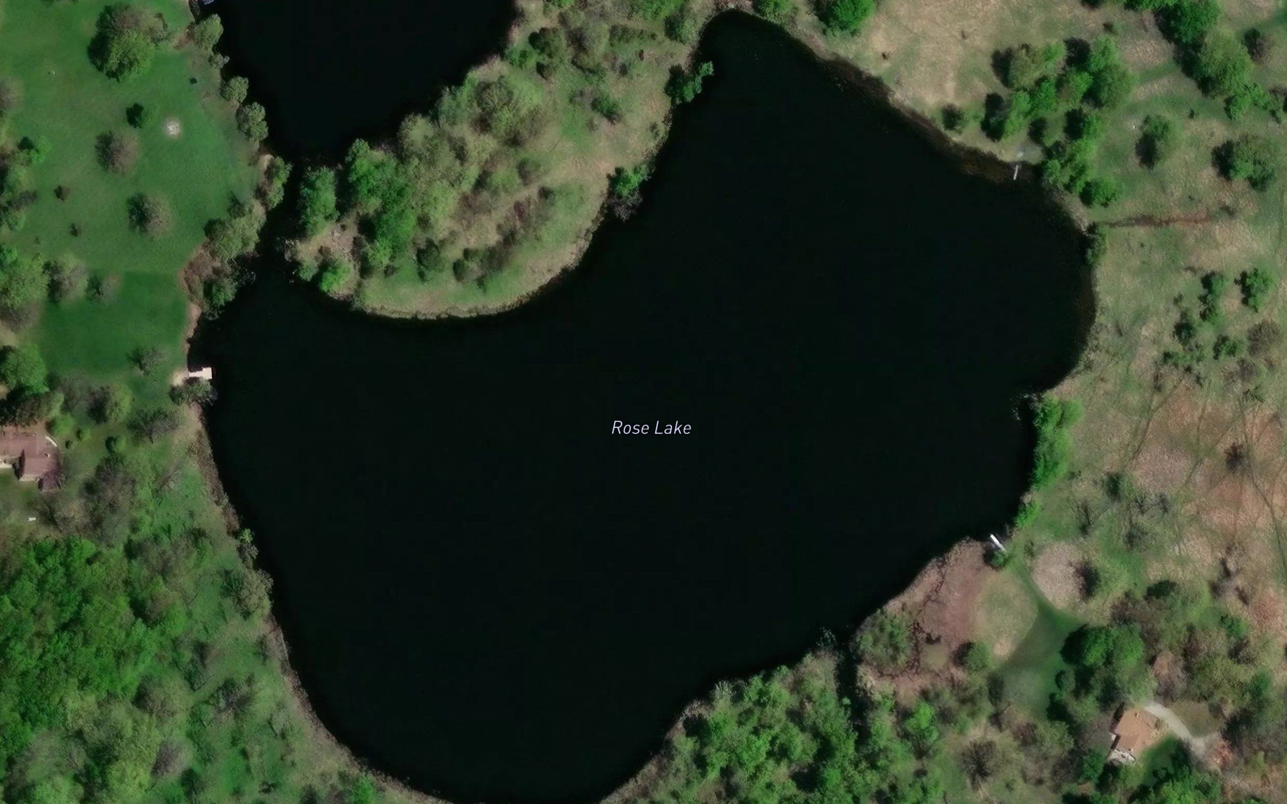 Rose Lake
