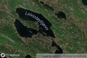 Leivsstoyltjonni