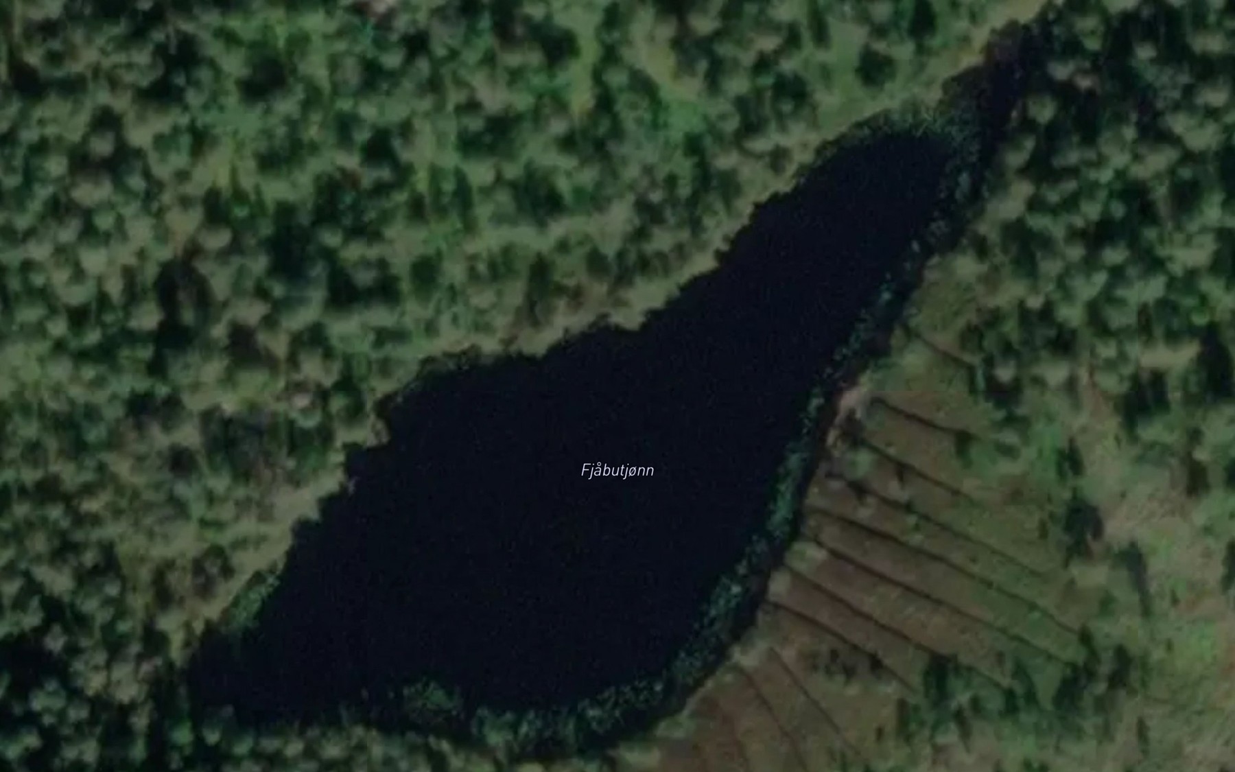 Satellite map of the Fjabbutjern