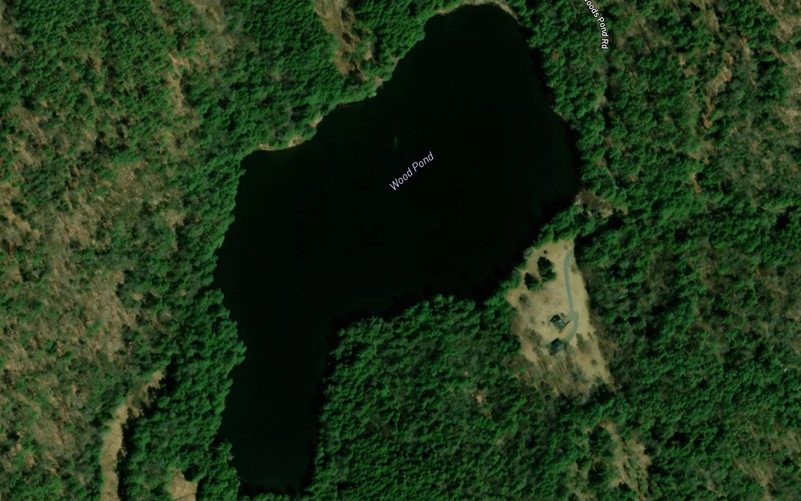 Wood Pond