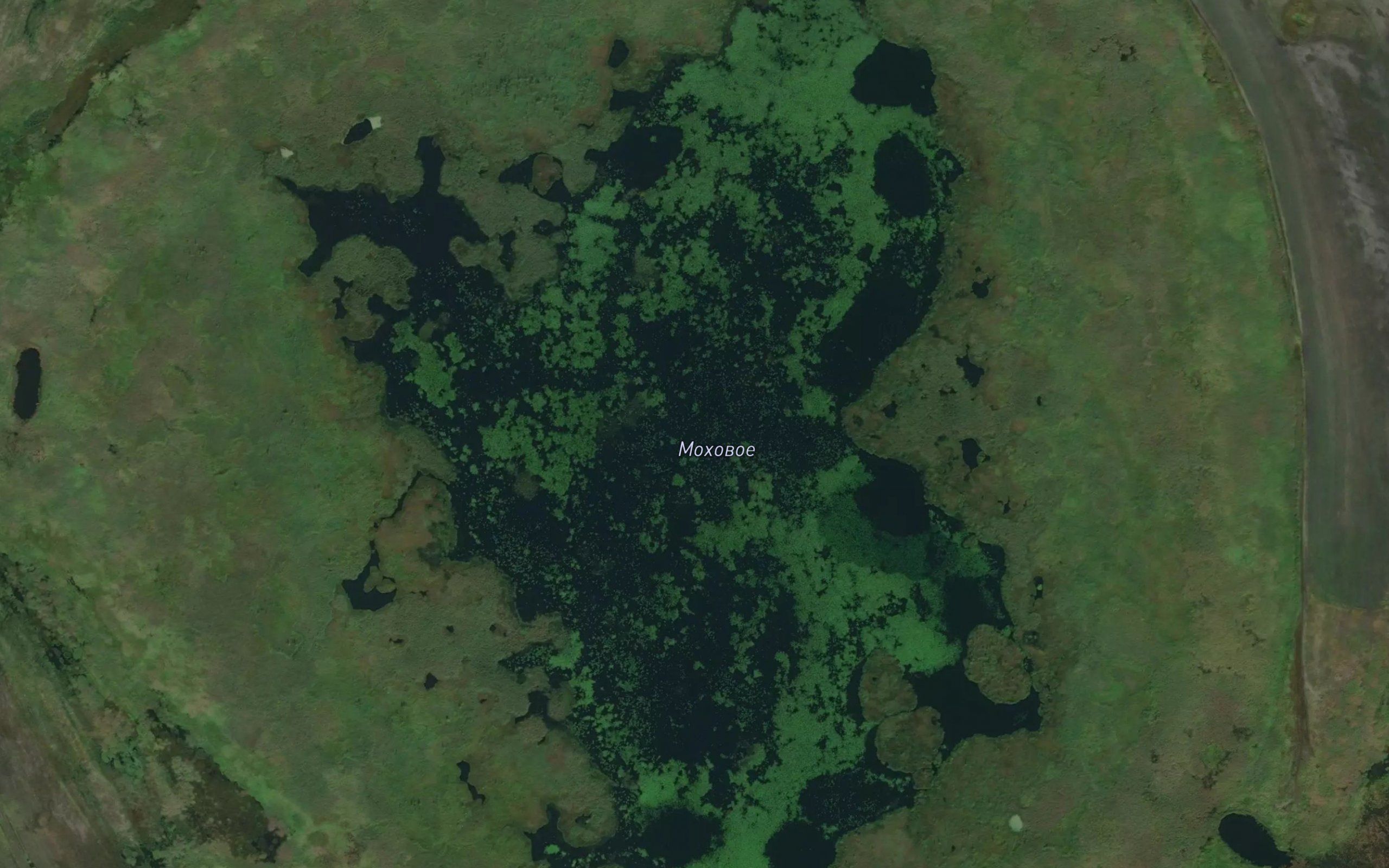 Ozero Mokhovoye