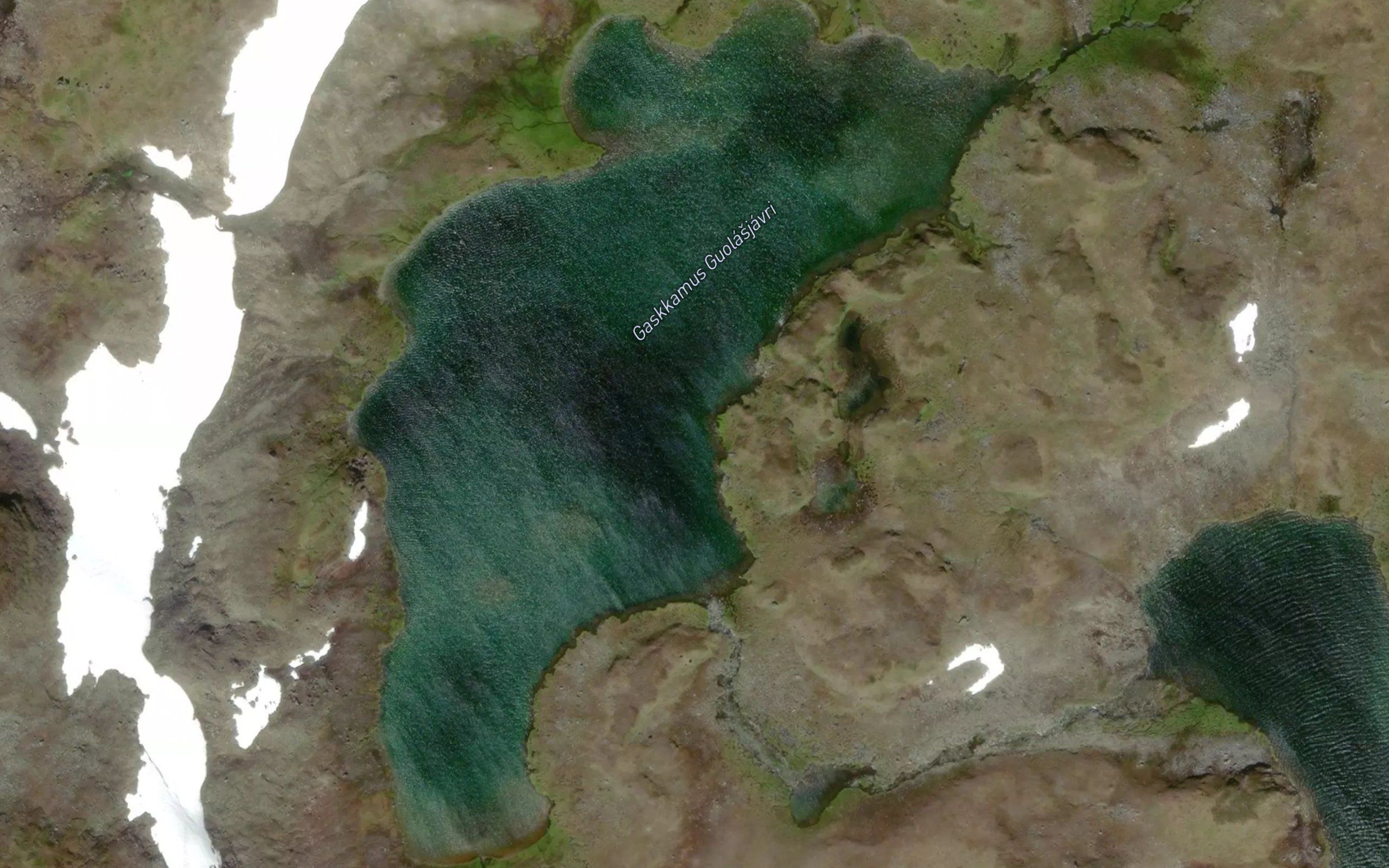 Guolanjavri,gaskkamus