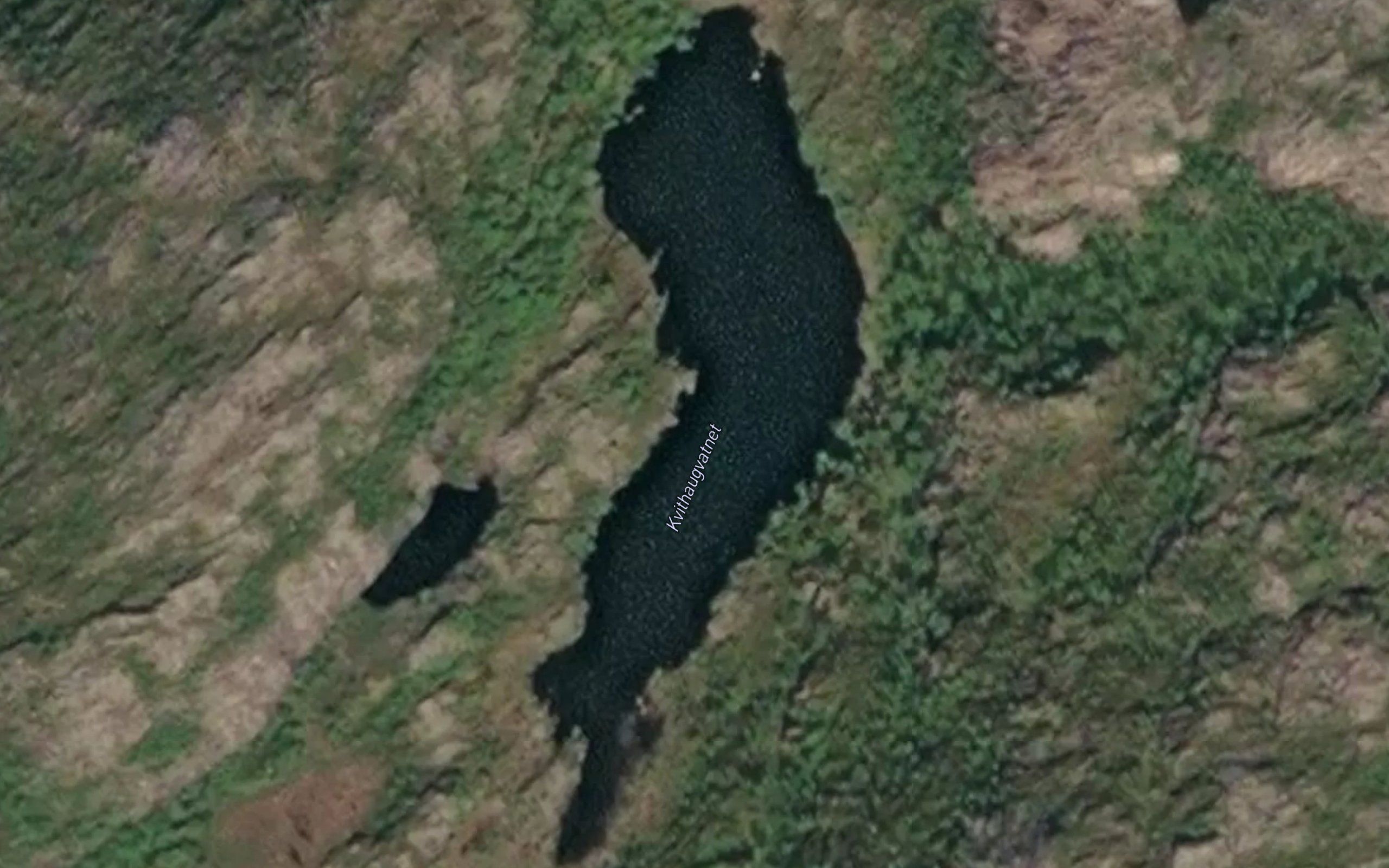 Kvithaugvatnet