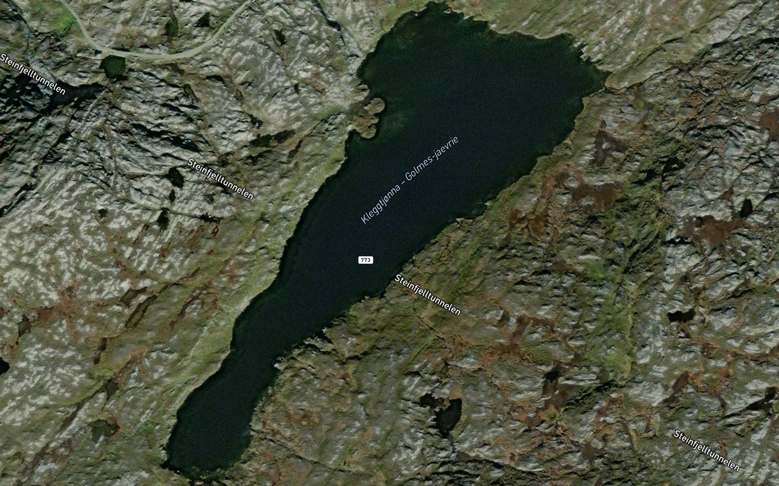 Kleggtjorna