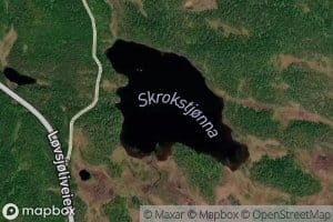 Skrogstjorna