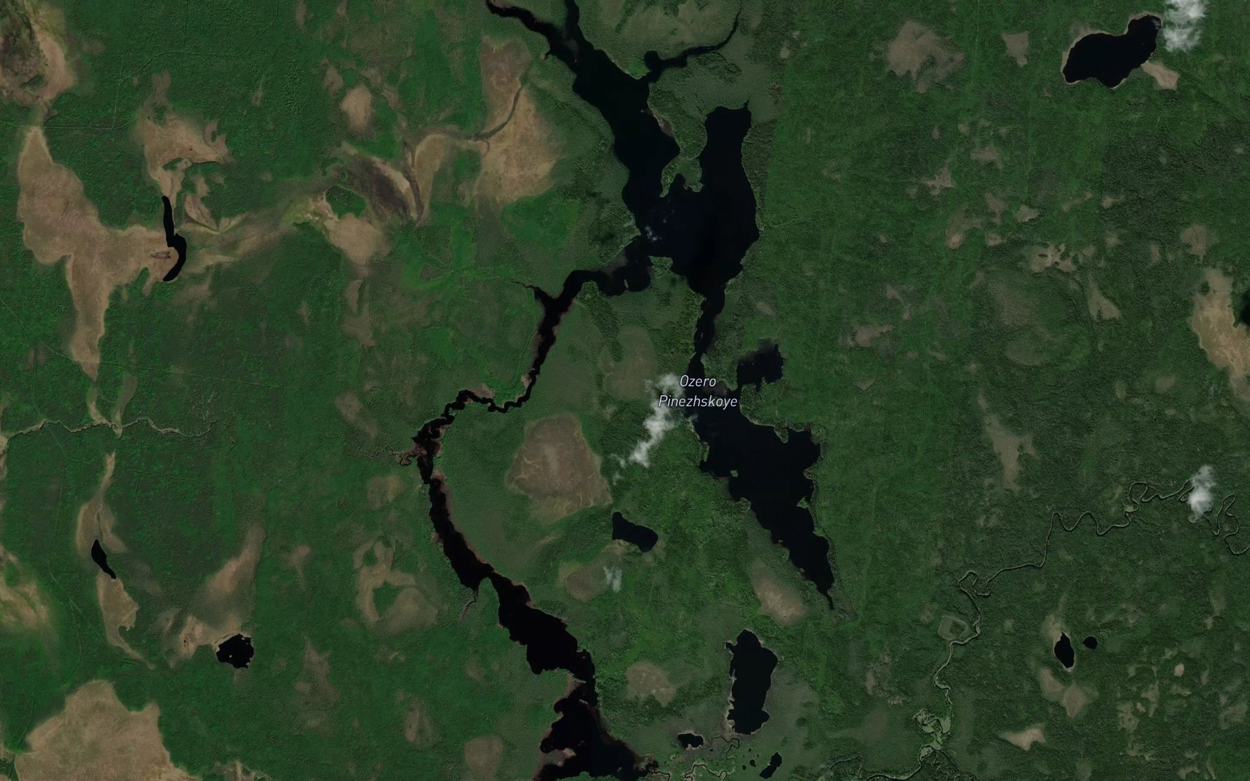 Satellite map of the Ozero Pinezhskoye