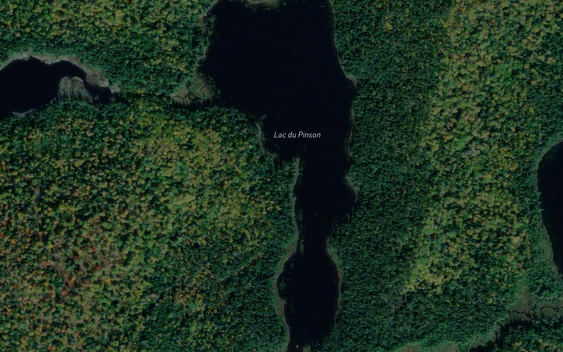 Satellite map of the Lac du Pinson