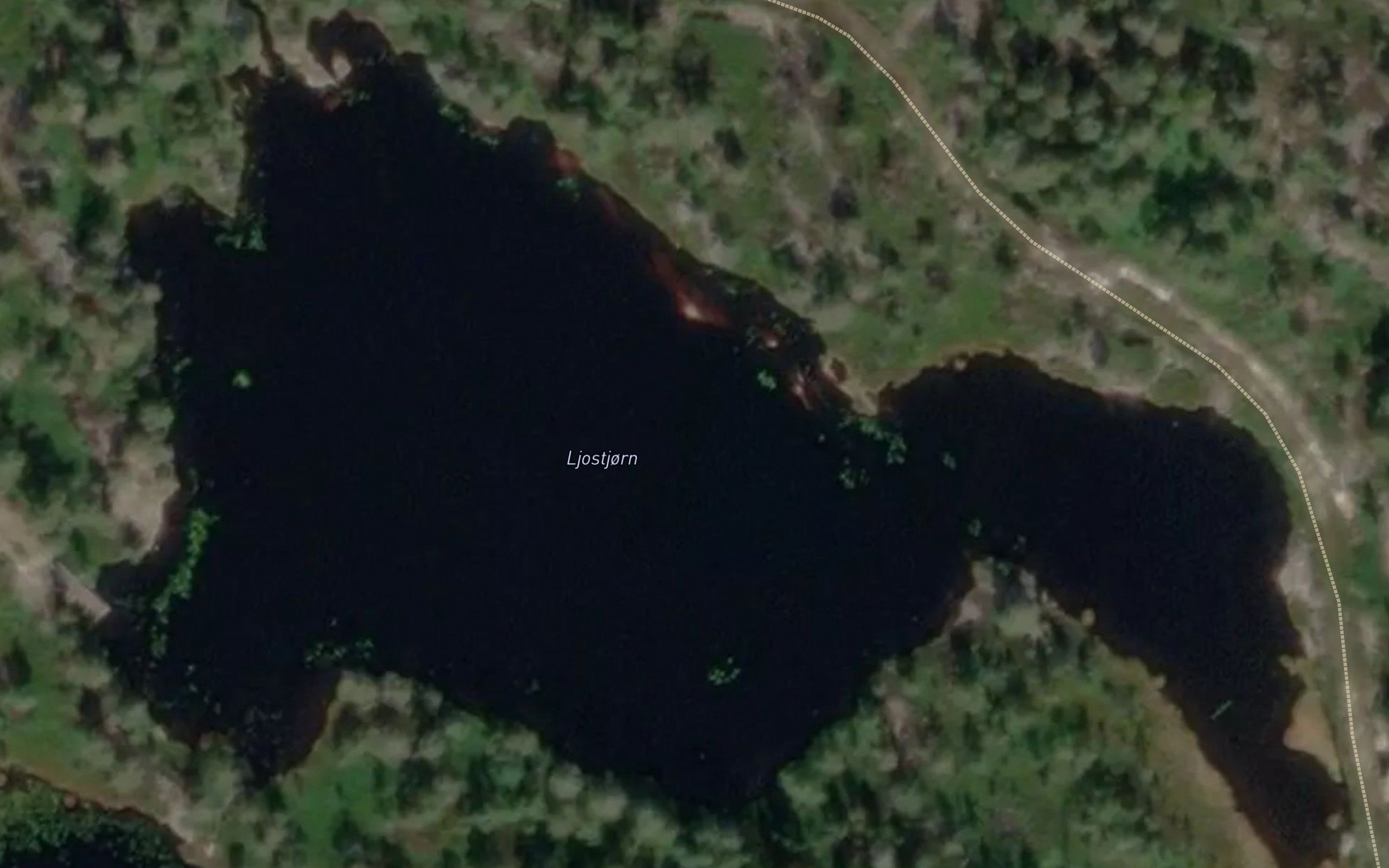 Ljostjorn