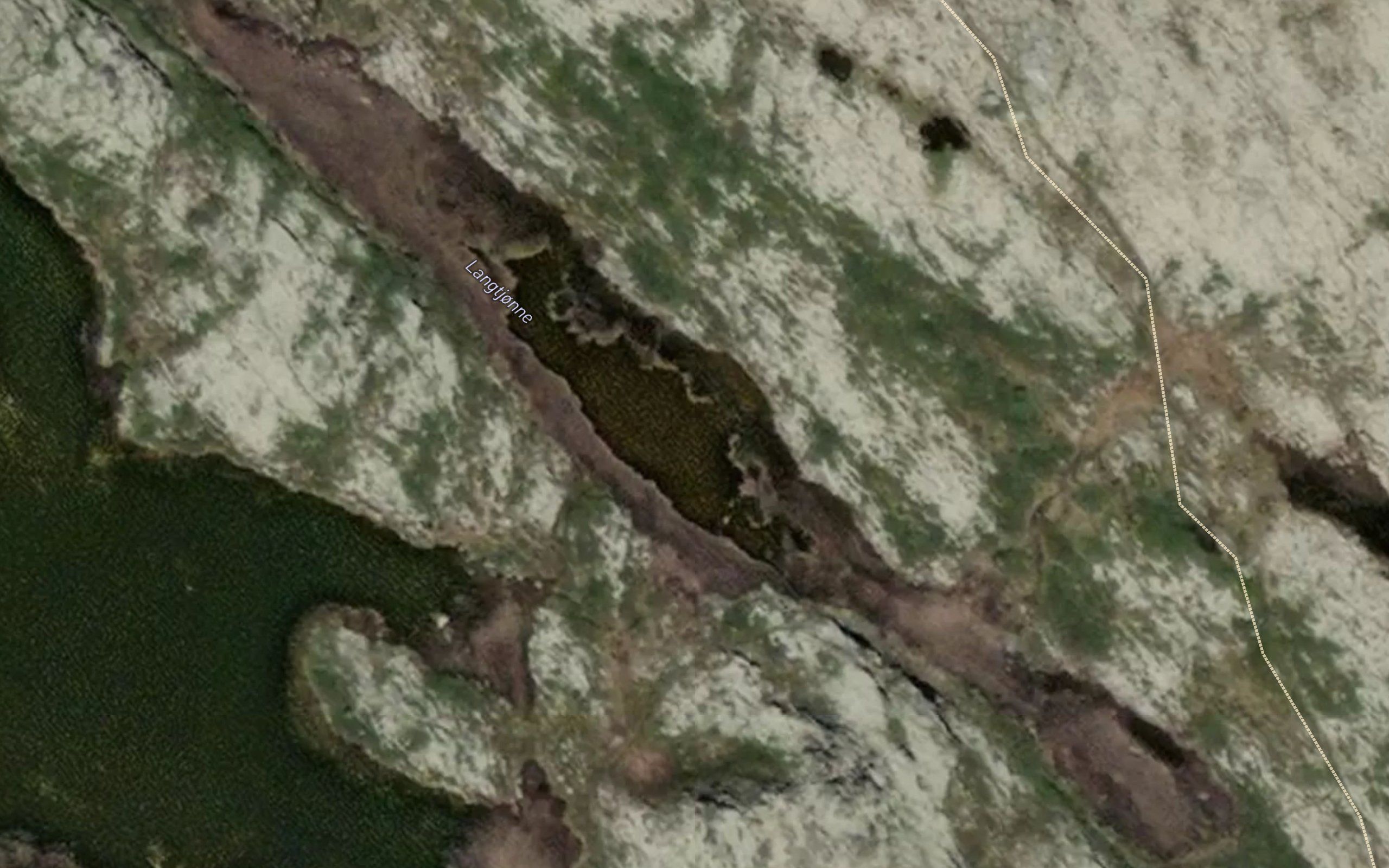 Langtjorni