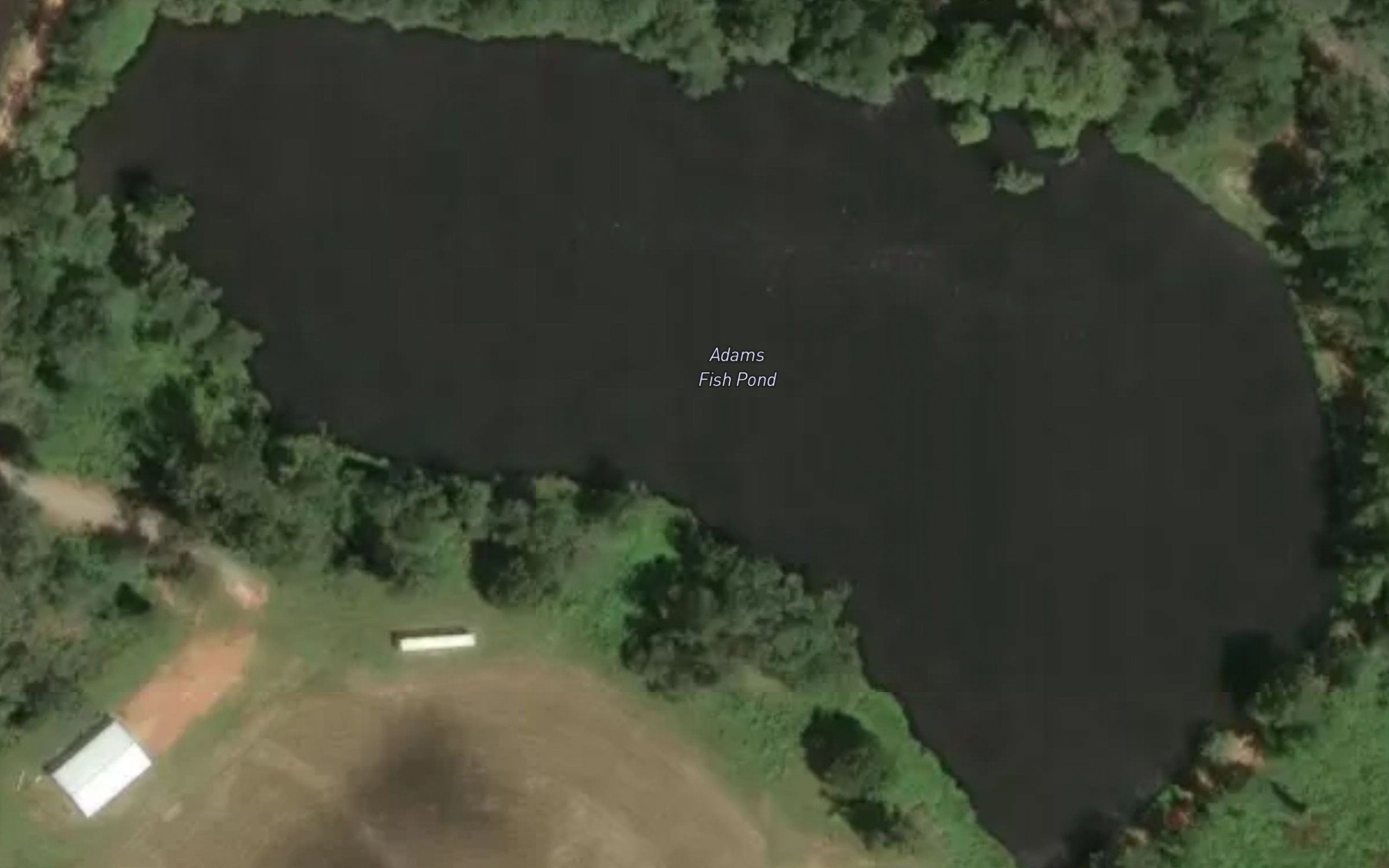 Adams Fish Pond
