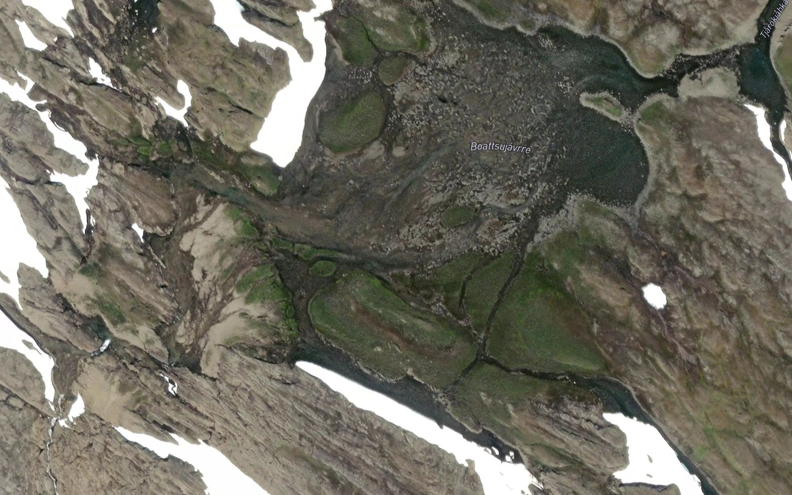 Bohccojavri