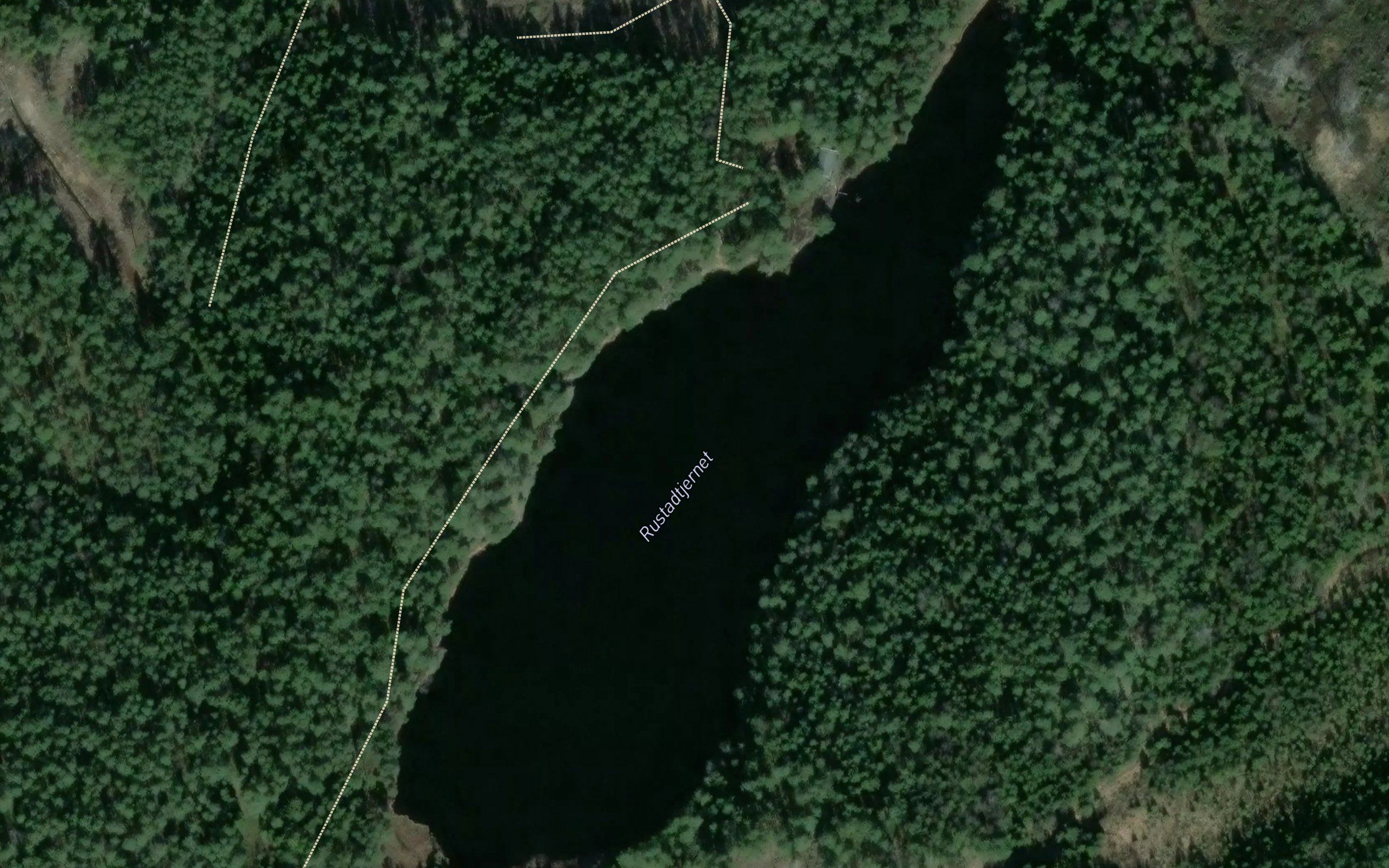 Rostadtjern