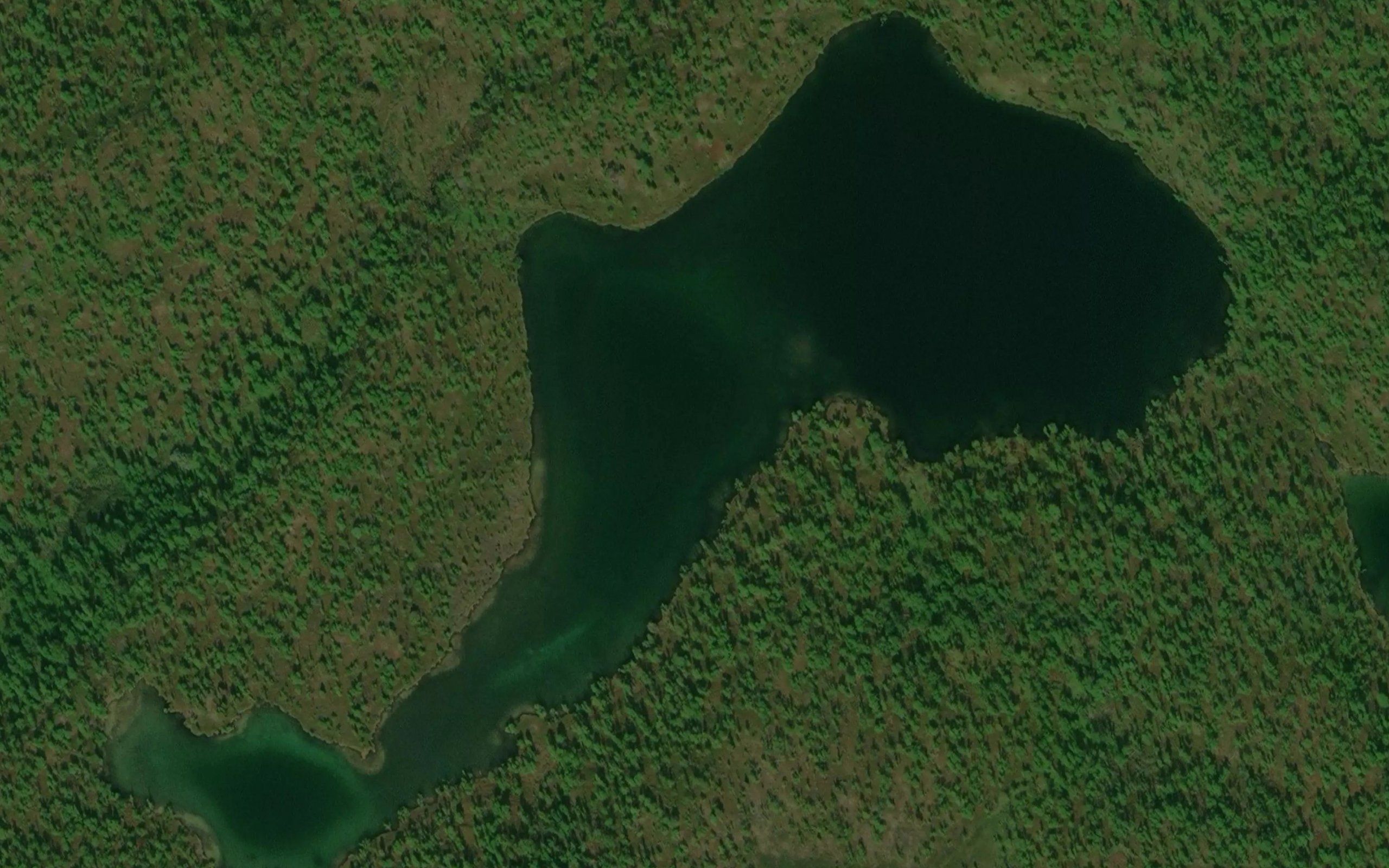 Langkjostjonna