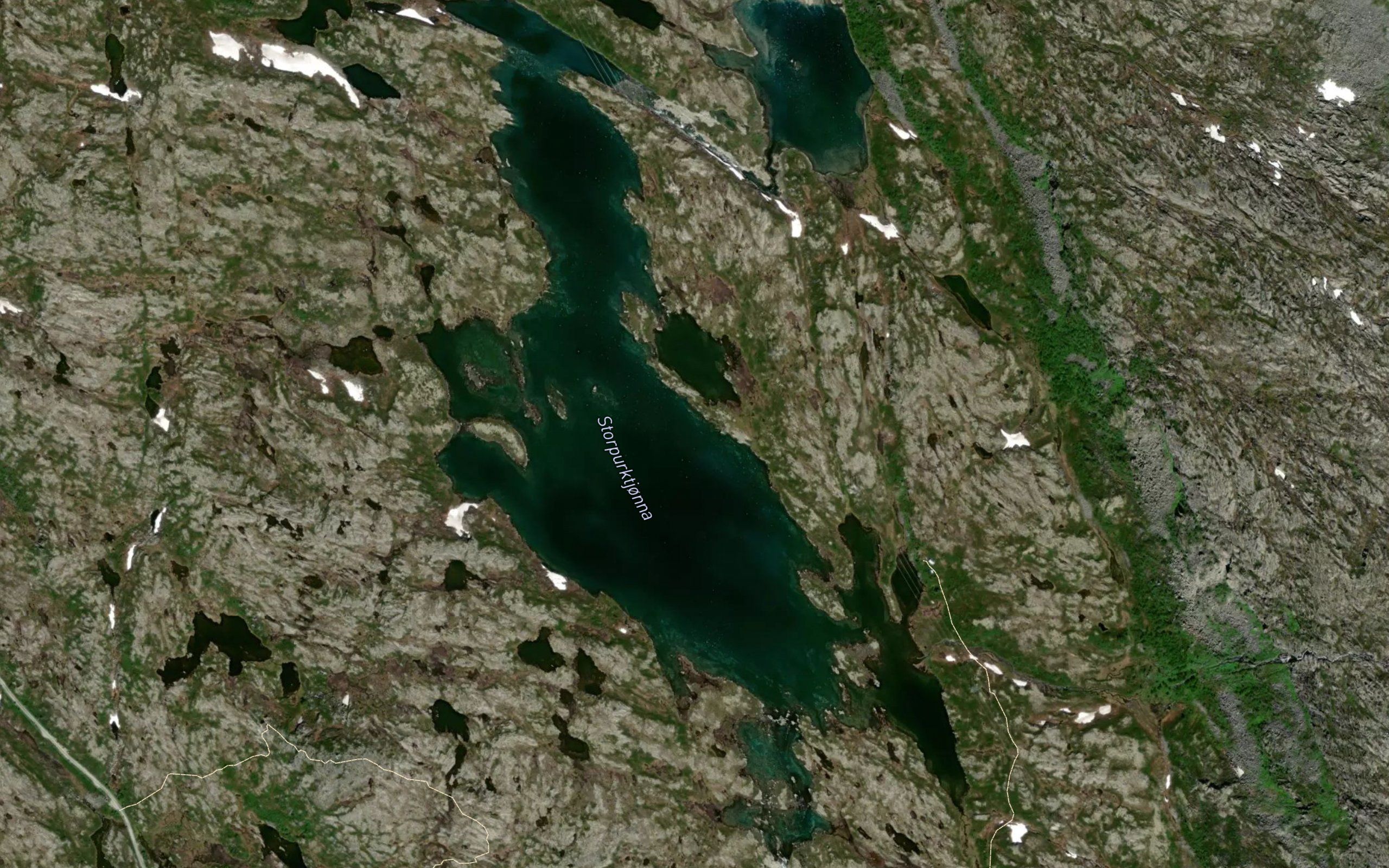 Storpurktjonna
