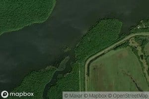 Big Bayou Friejon