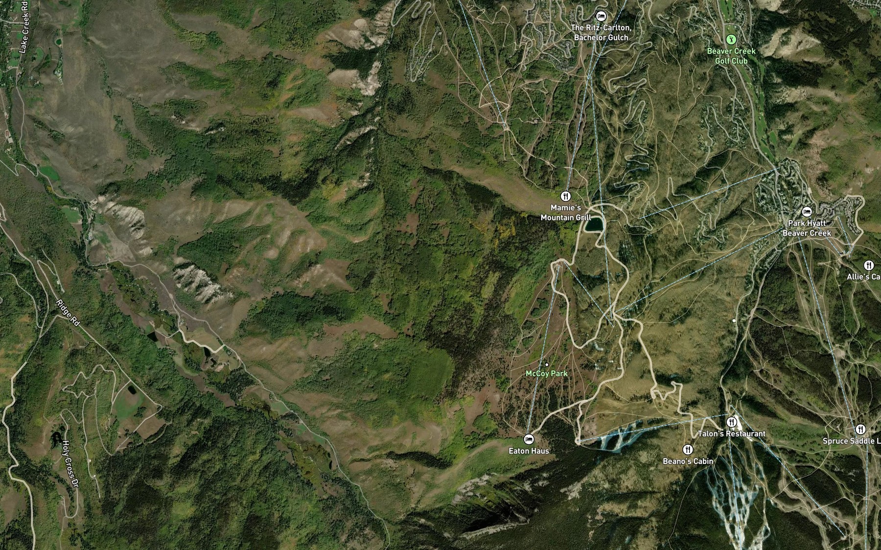 Satellite map of the McCoy Spring