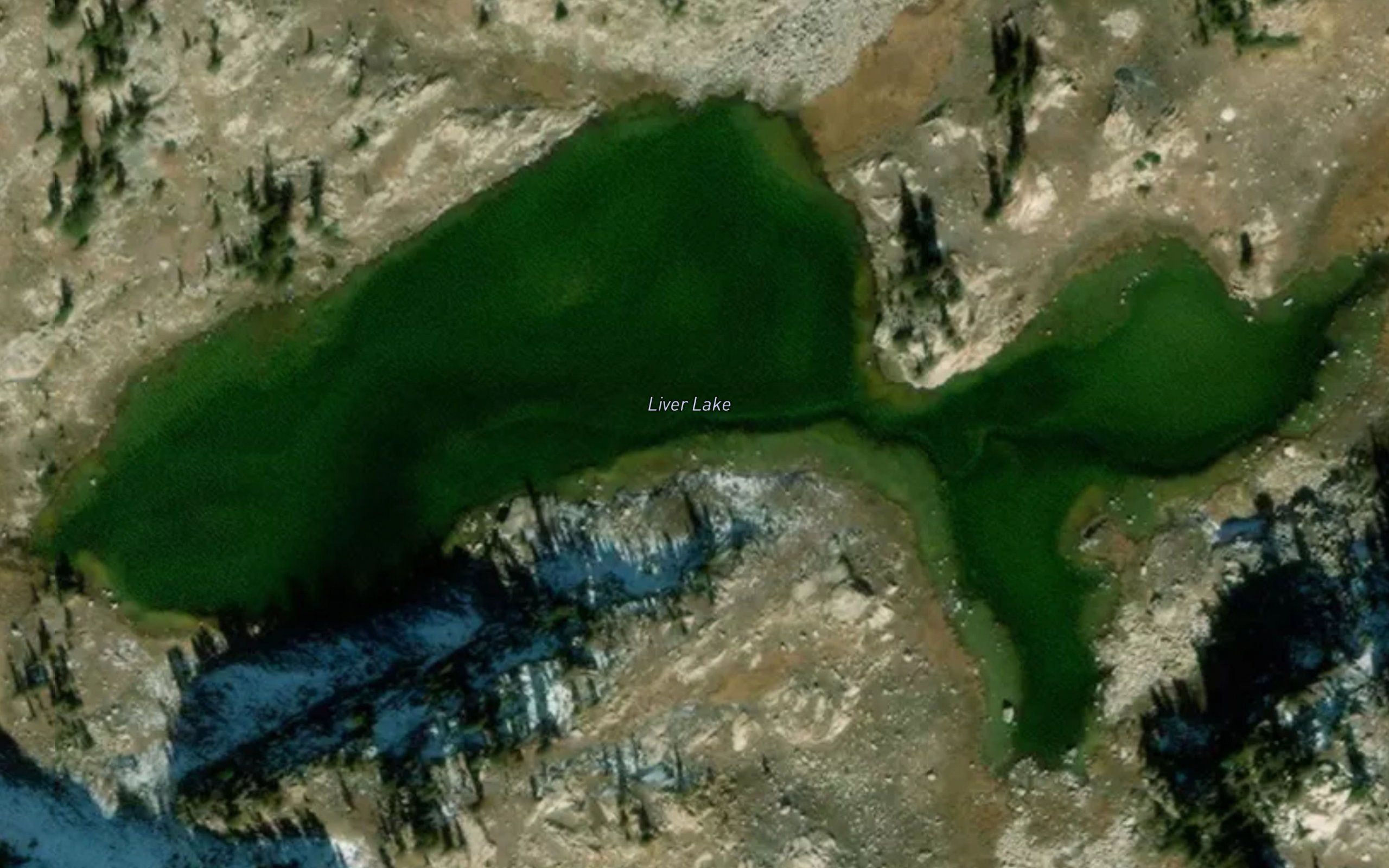 Liver Lake