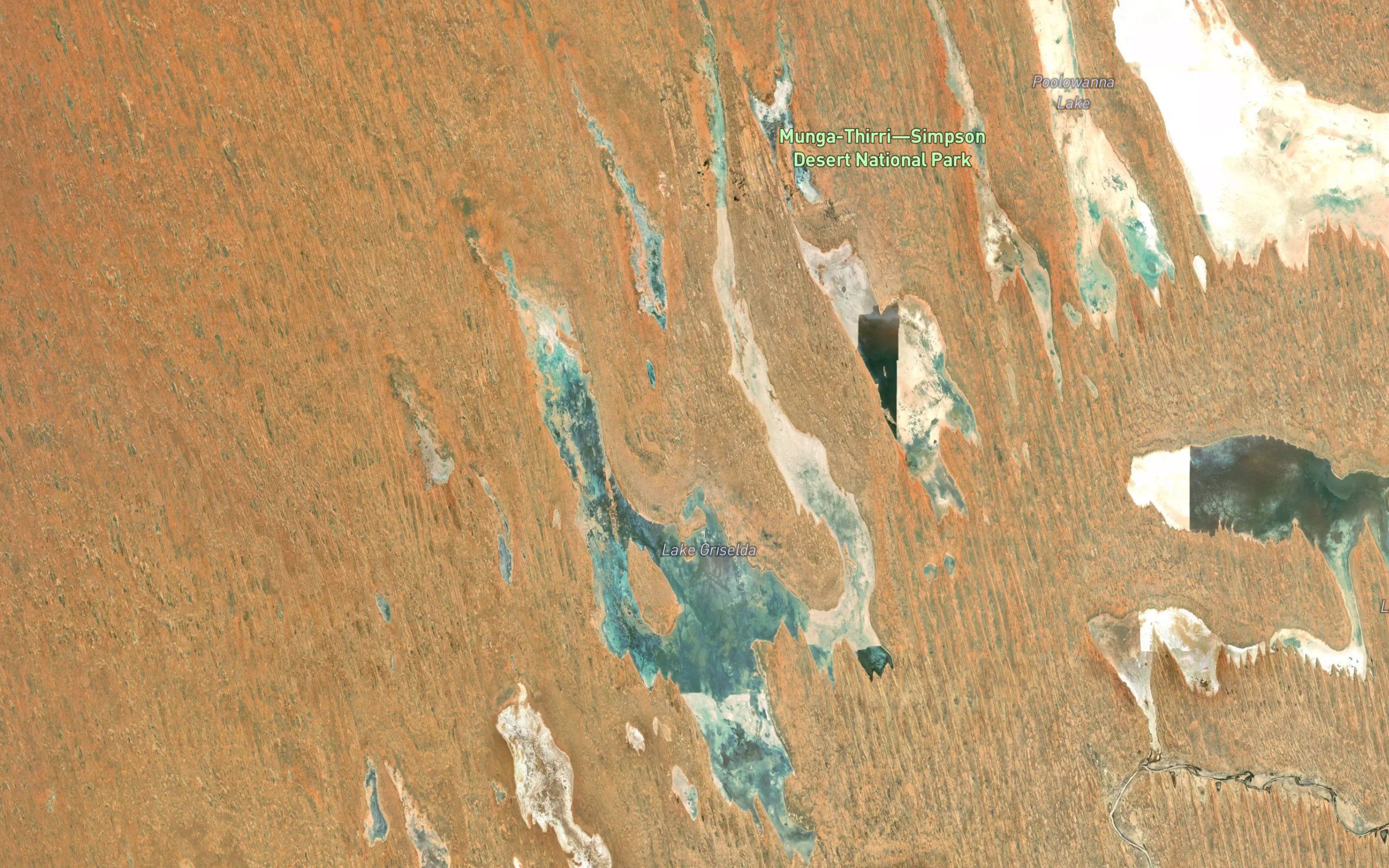 Lake Griselda