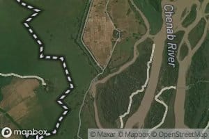 Distributary Number Five