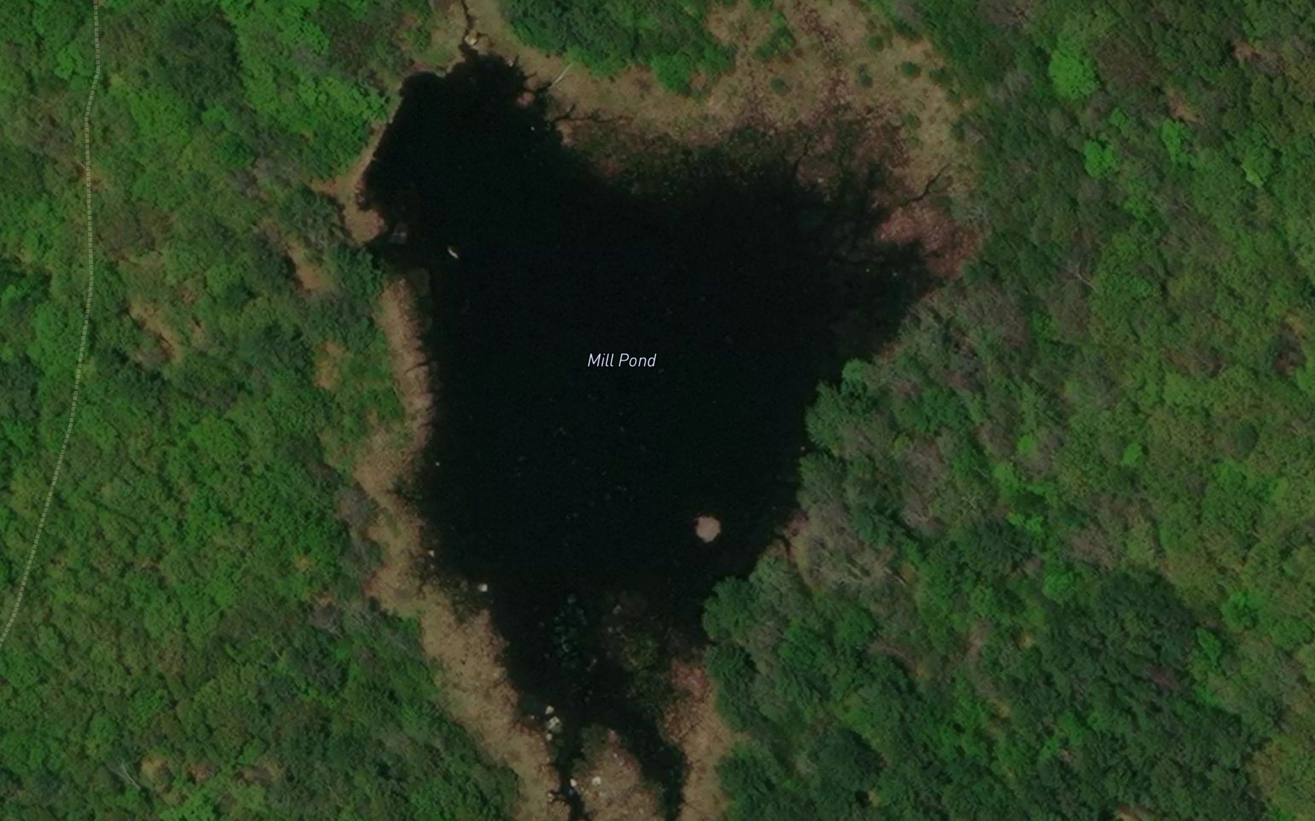 Mill Pond