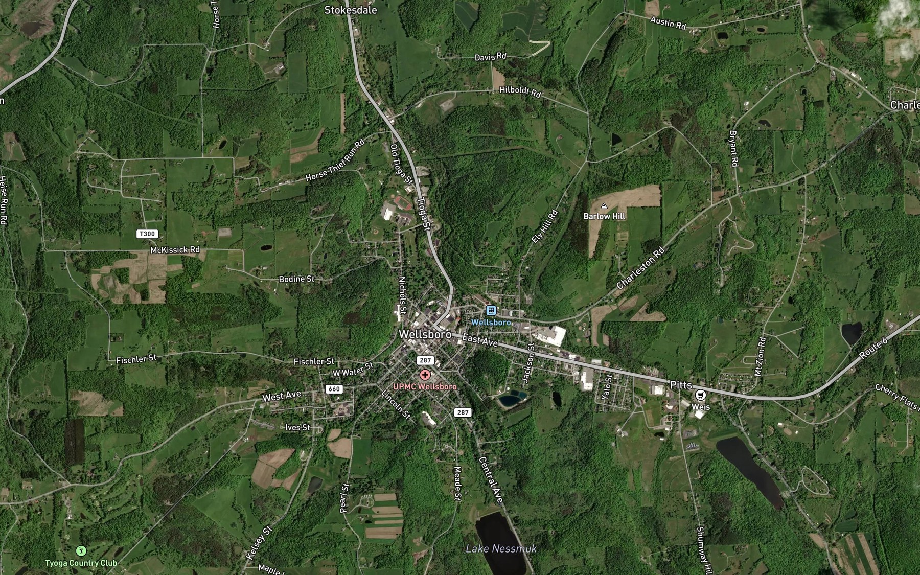 Satellite map of the Charleston Creek