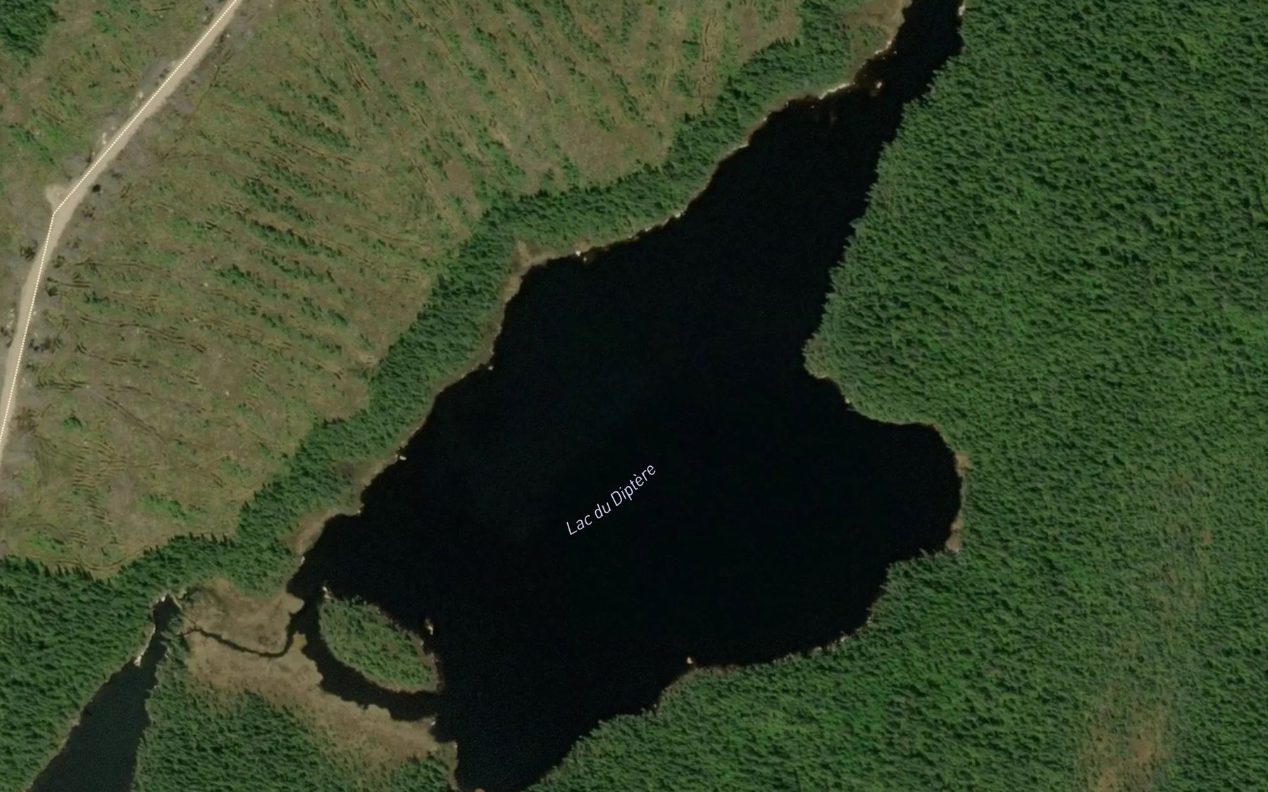 Satellite map of the Lac du Diptere