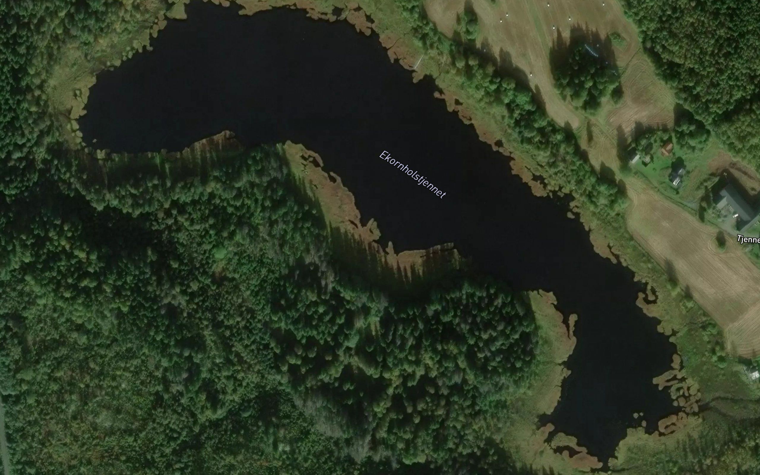 Ekornholstjennet