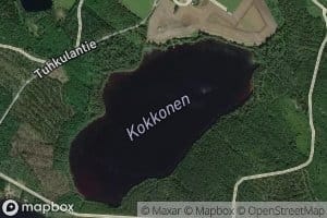 Kokkonen