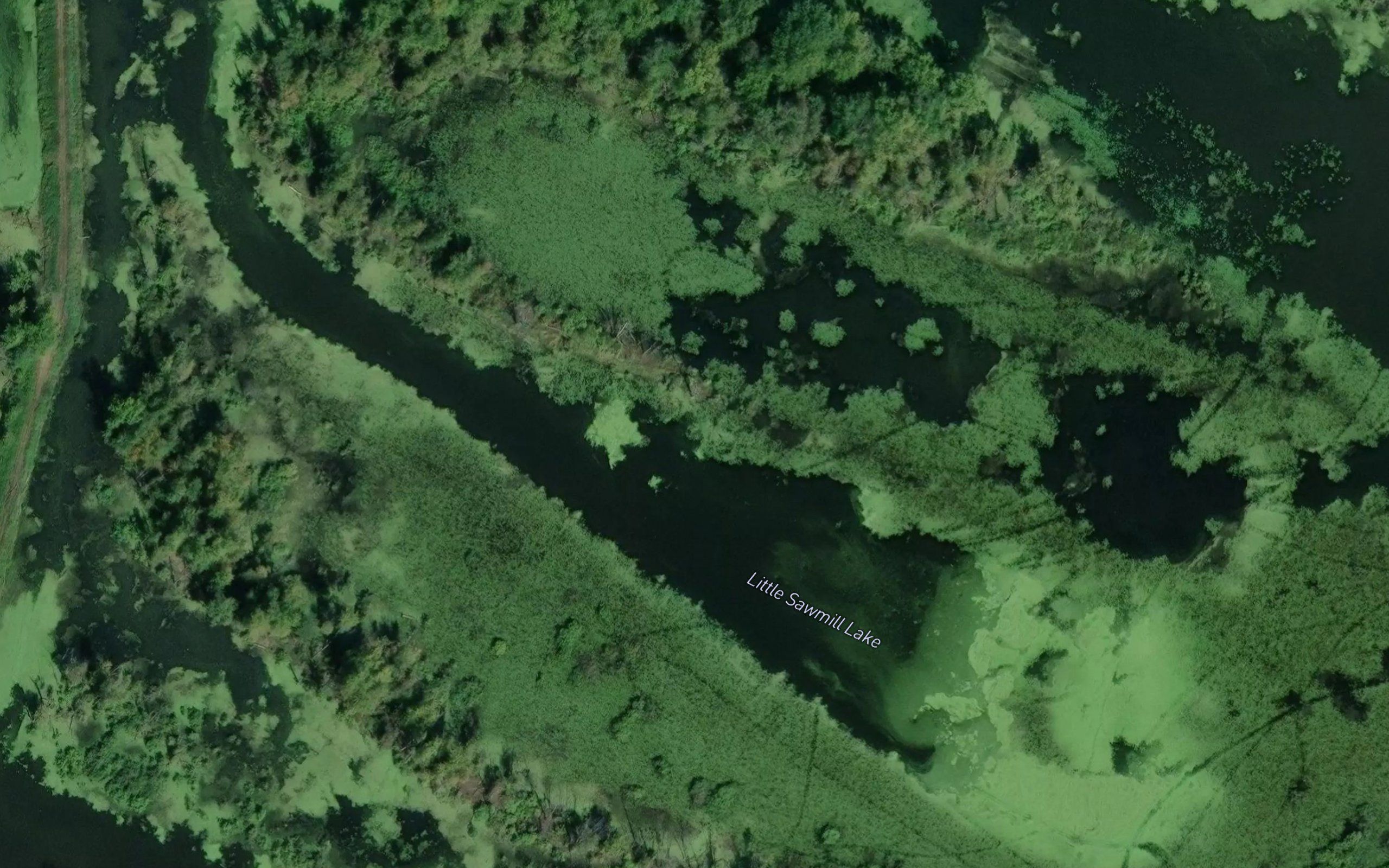 Little Sawmill Lake