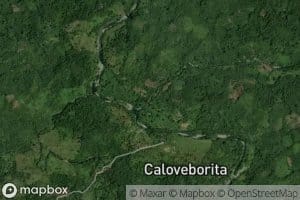 Rio Palmarito