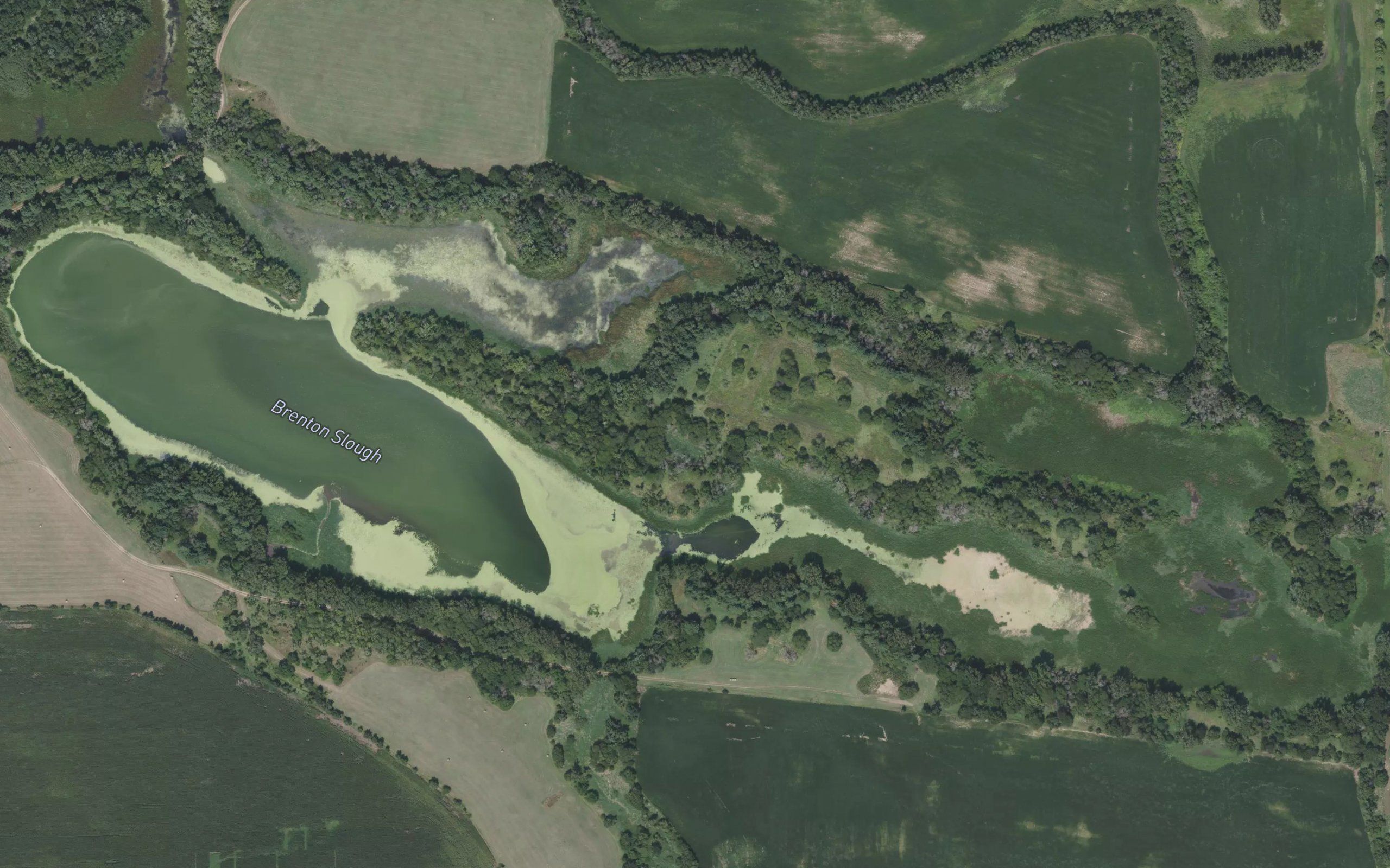 Brenton Slough