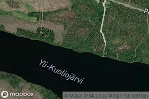 Tuomipuro