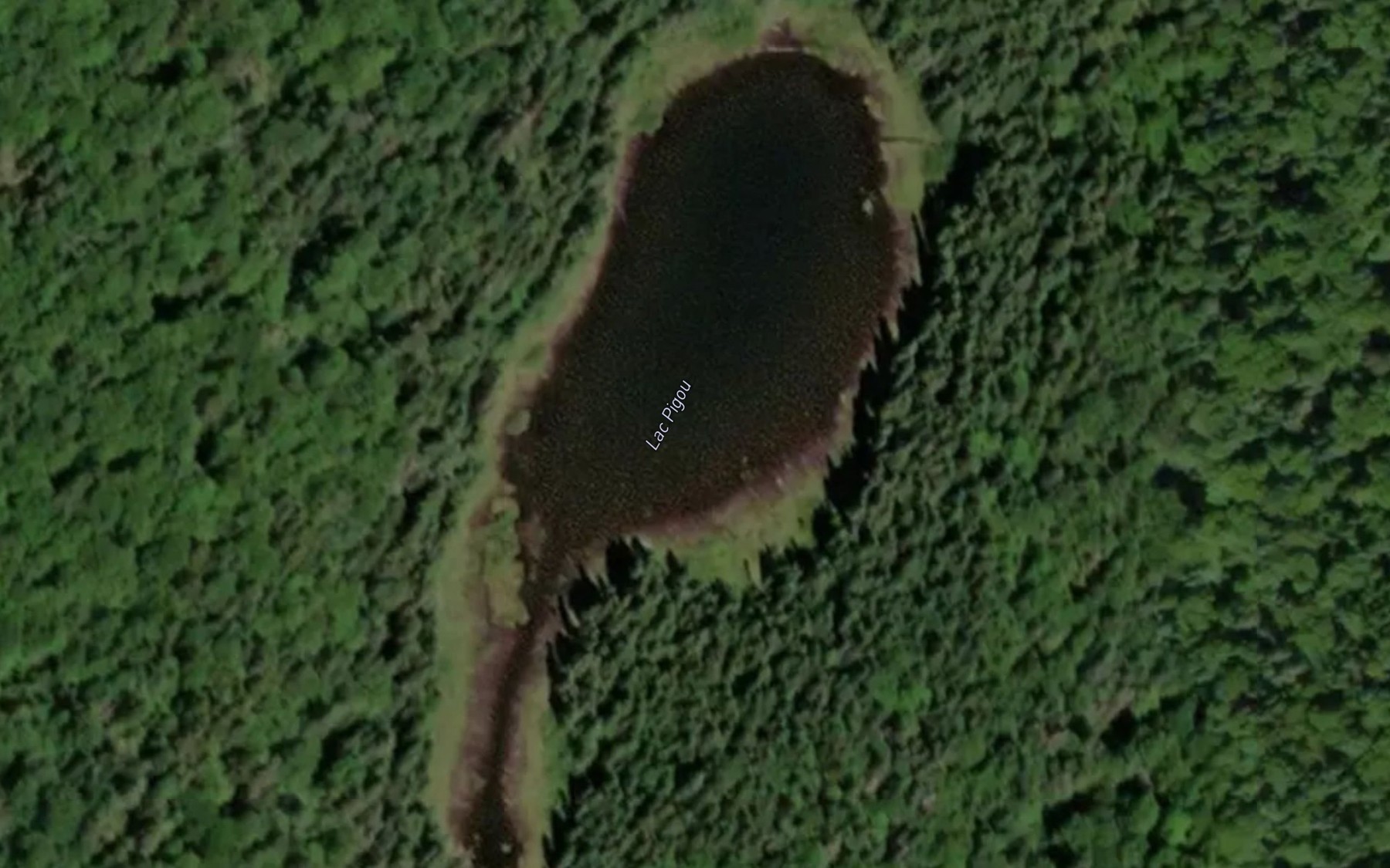 Satellite map of the Lac Pigou