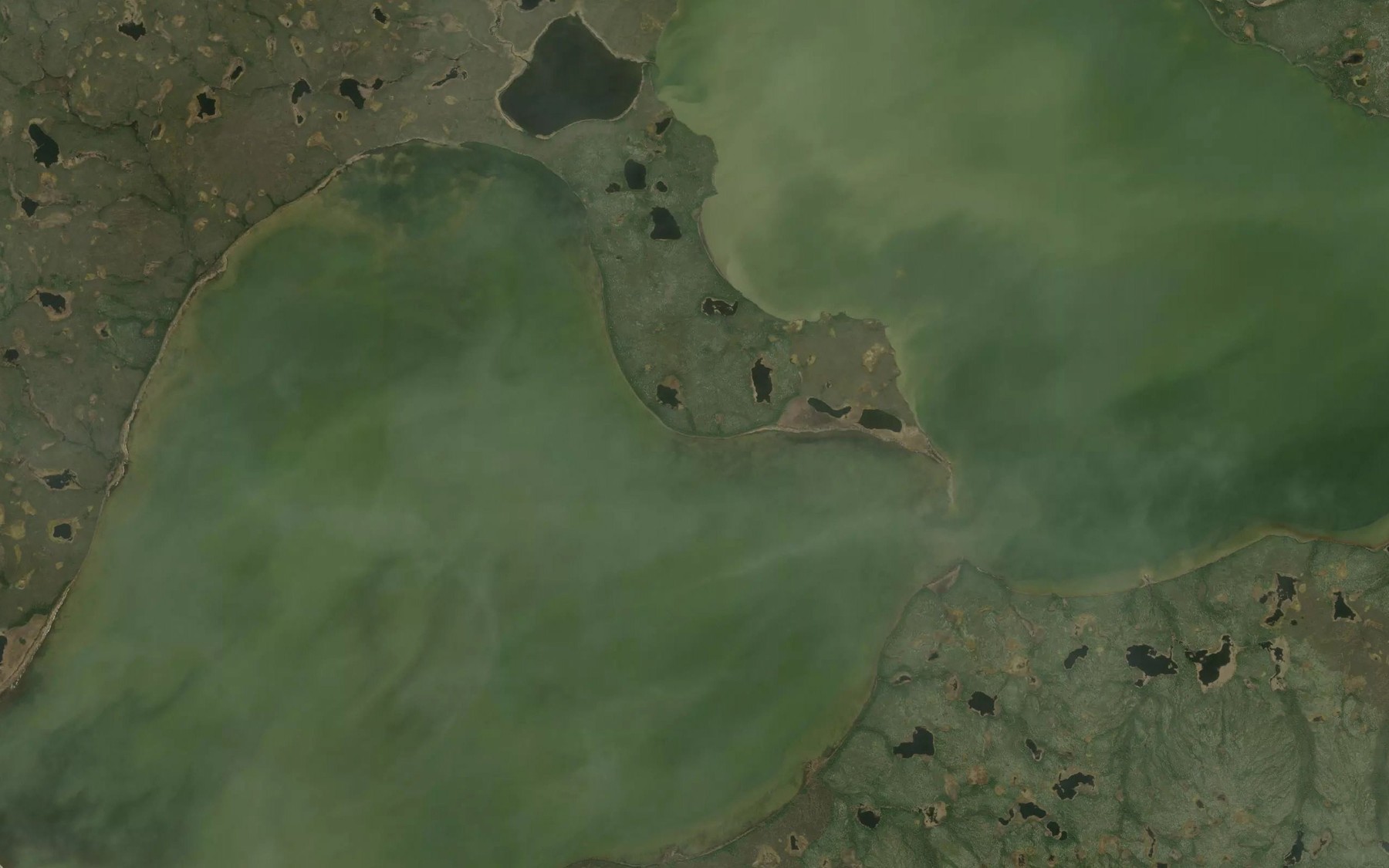 Satellite map of the Whitecap Lake