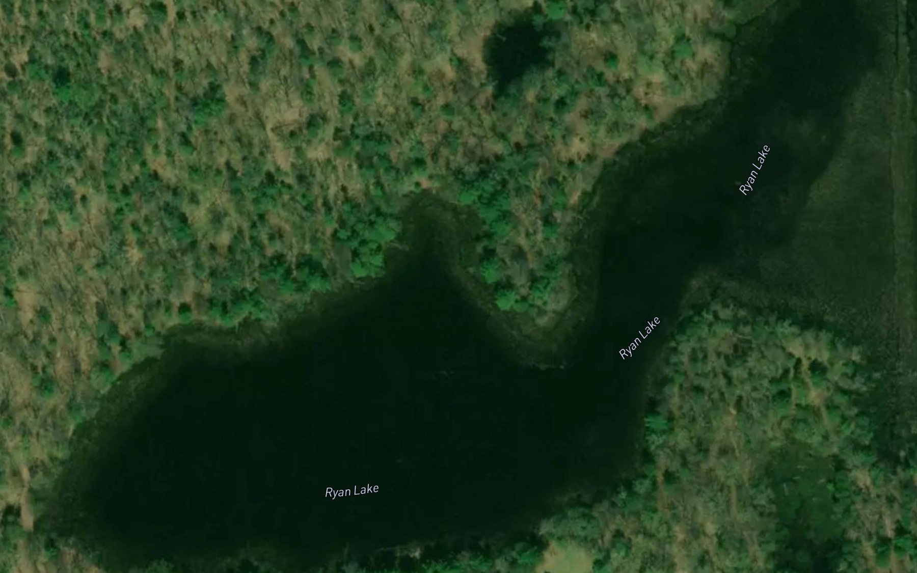 Satellite map of the Ryan Lake
