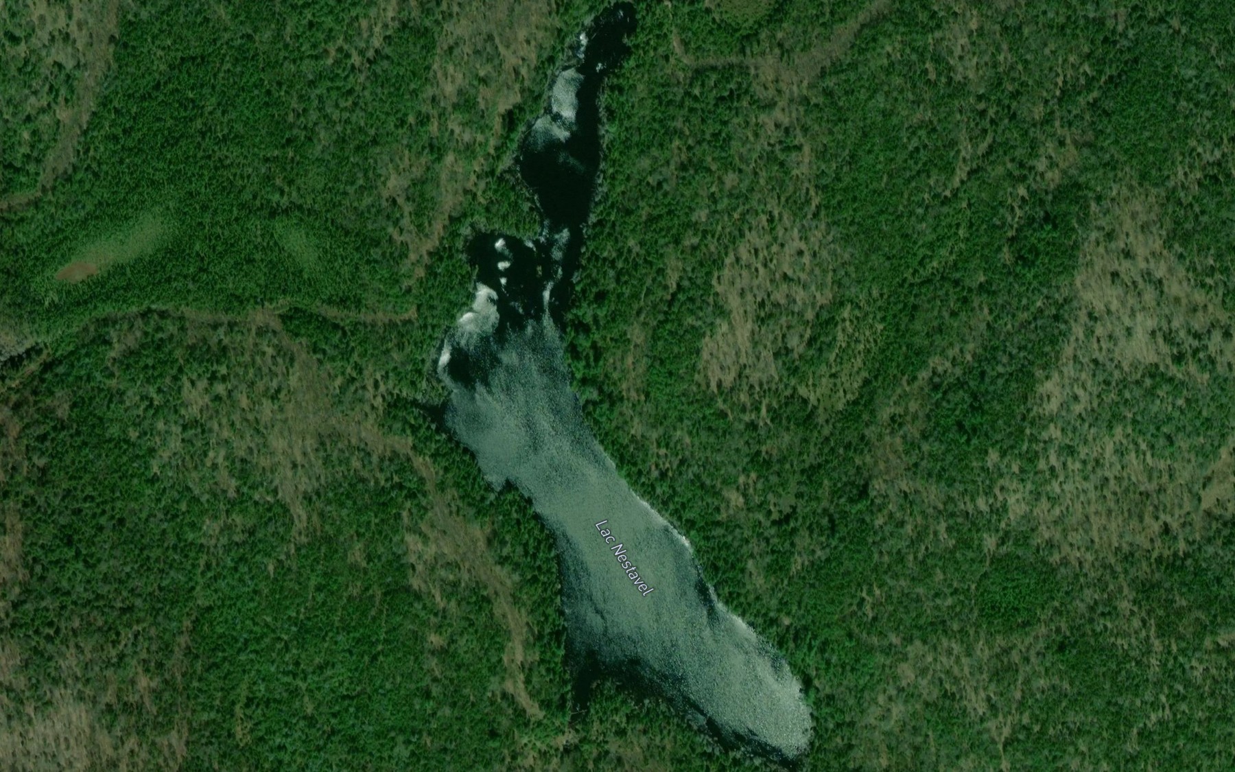 Satellite map of the Lac Nestavel