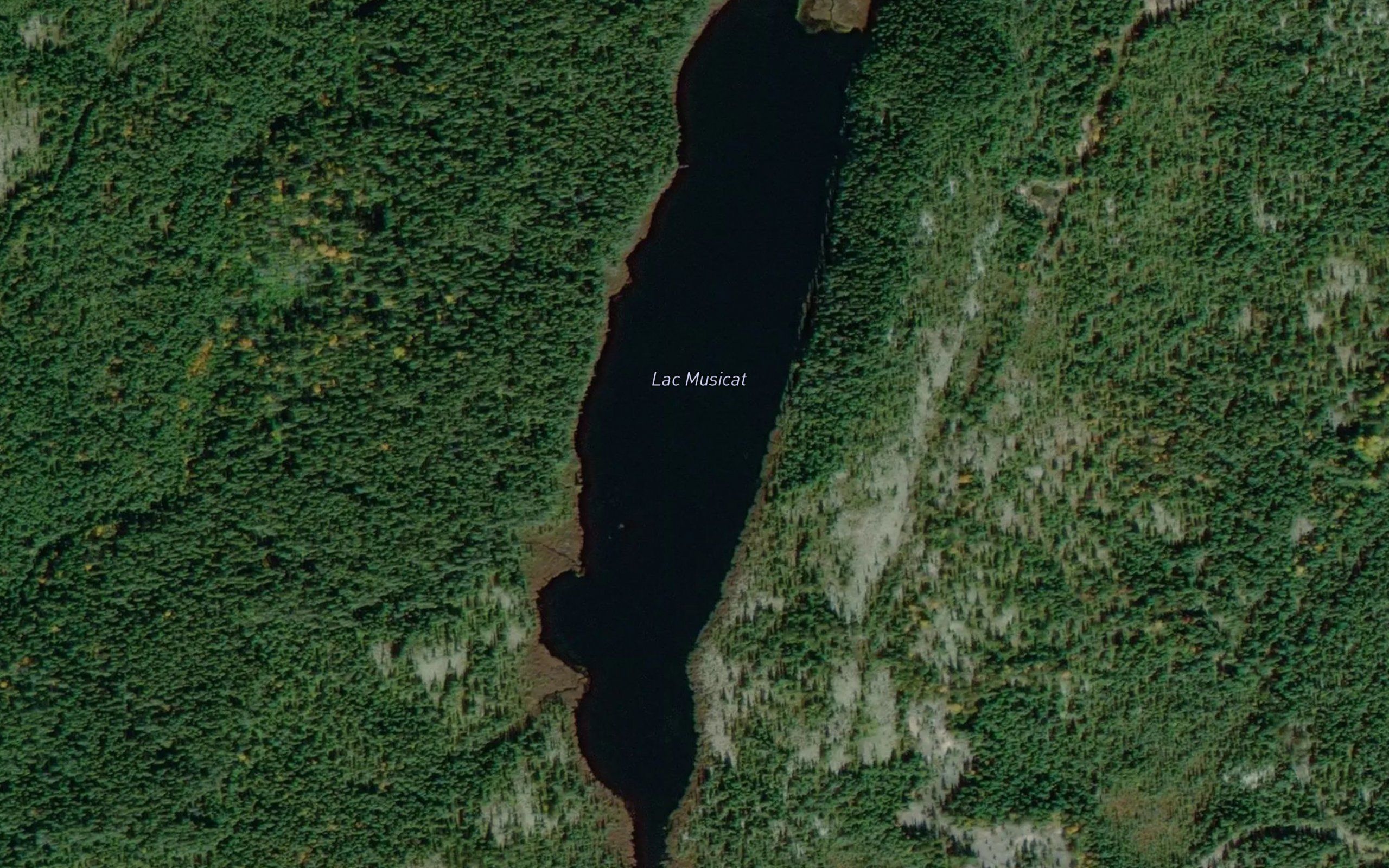 Lac Musicat
