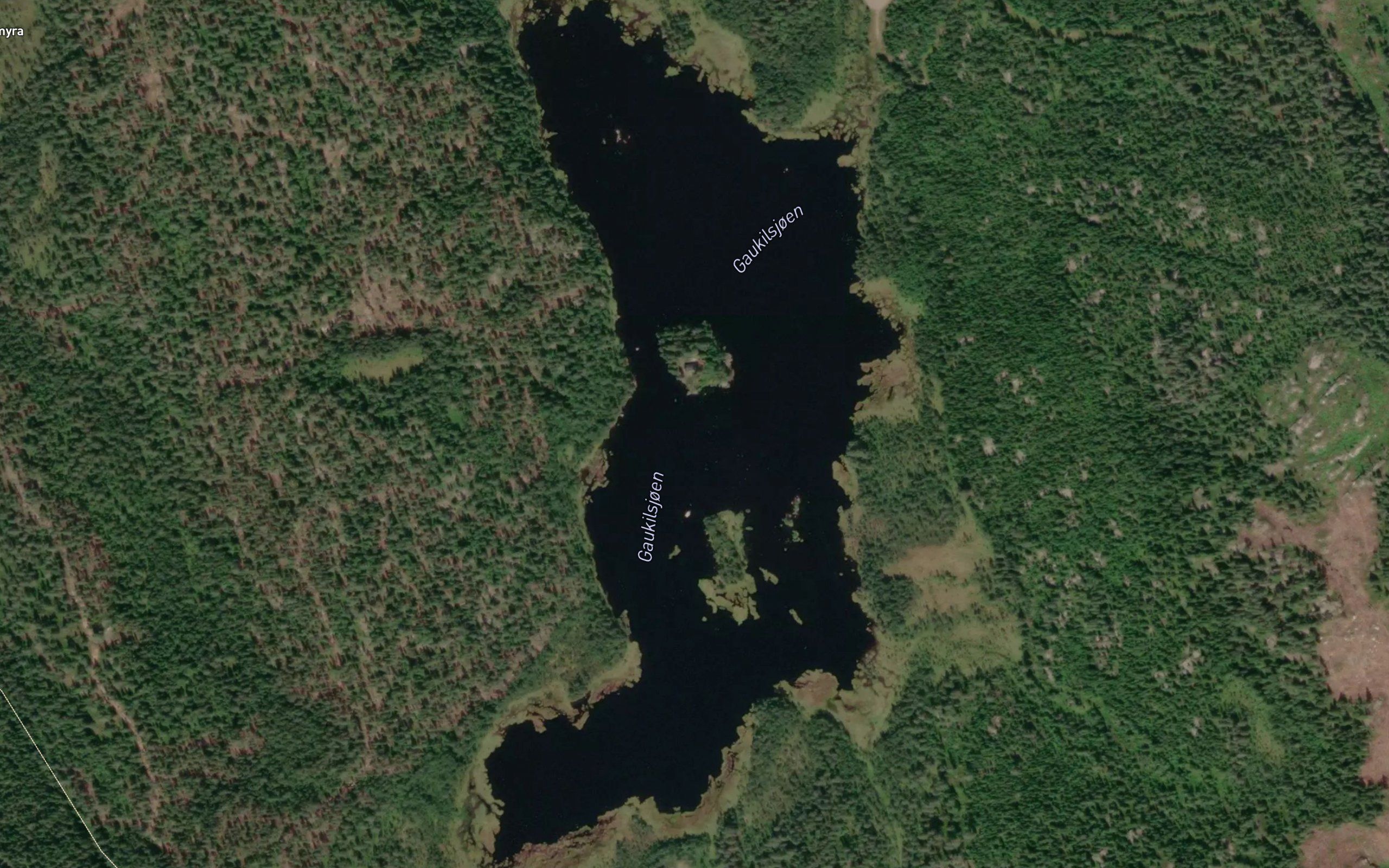 Gaukilsjoen