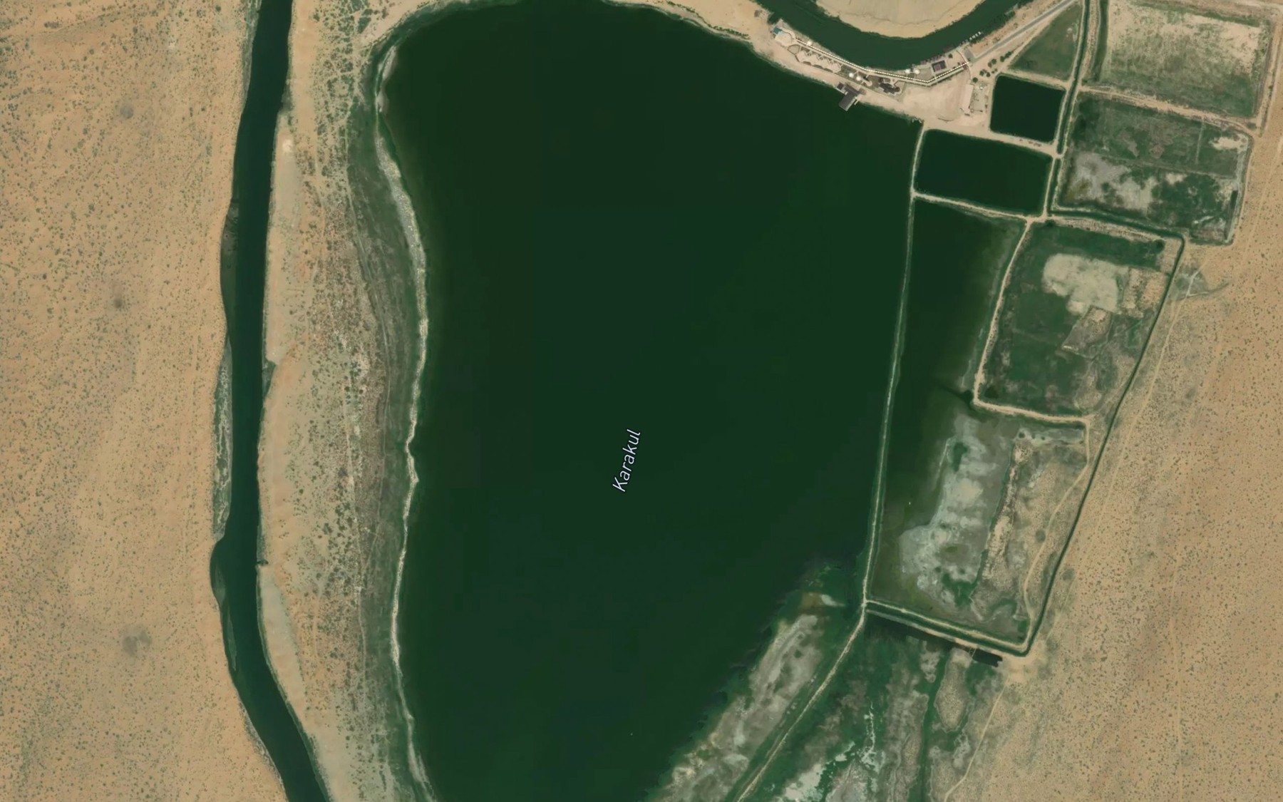 Satellite map of the Qoraqo'l Ko'li