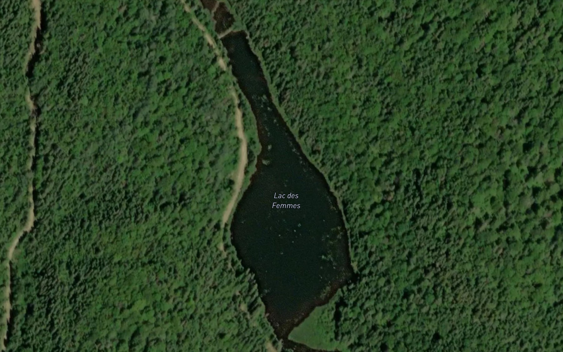Satellite map of the Lac des Femmes