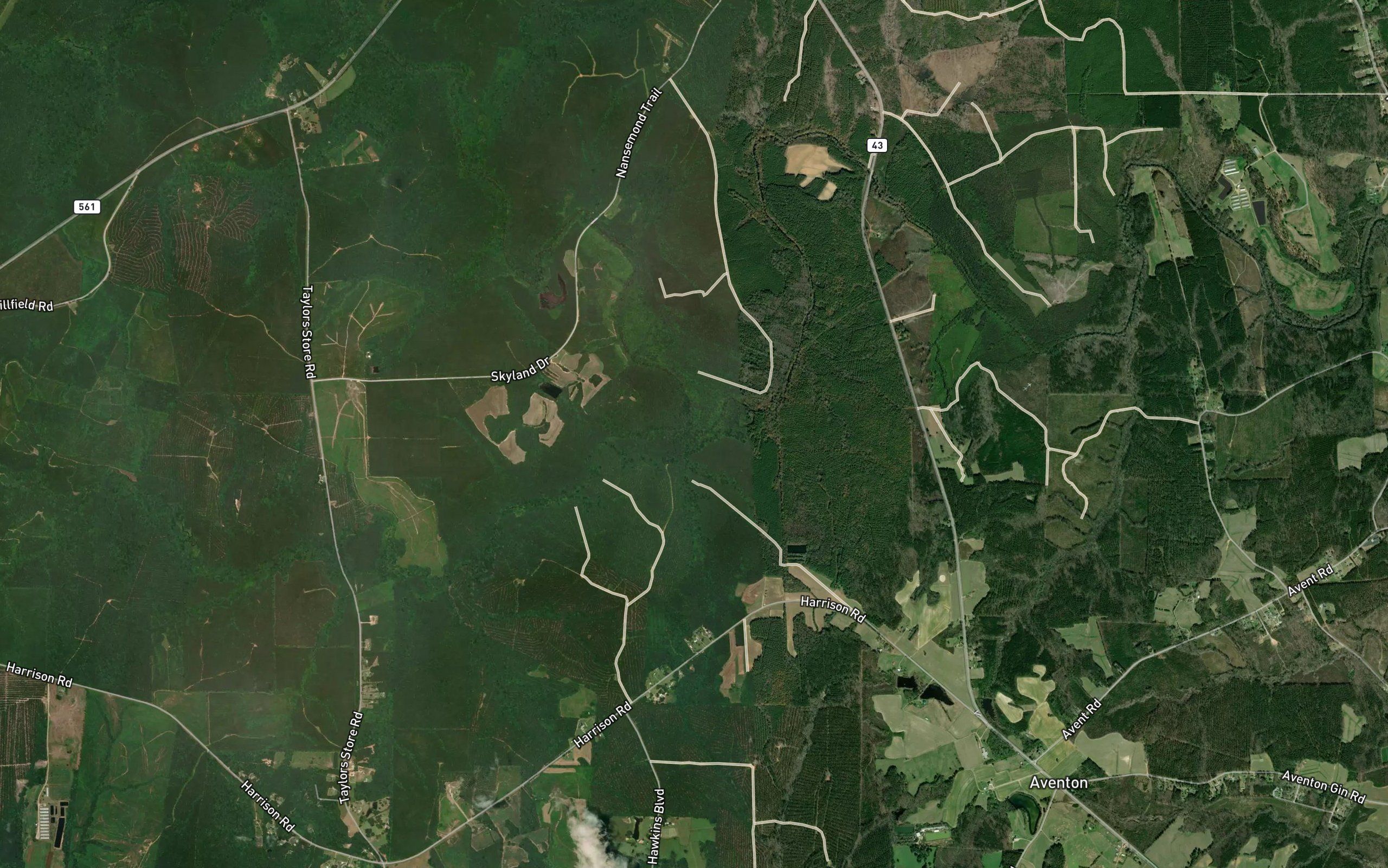 White Oak Swamp