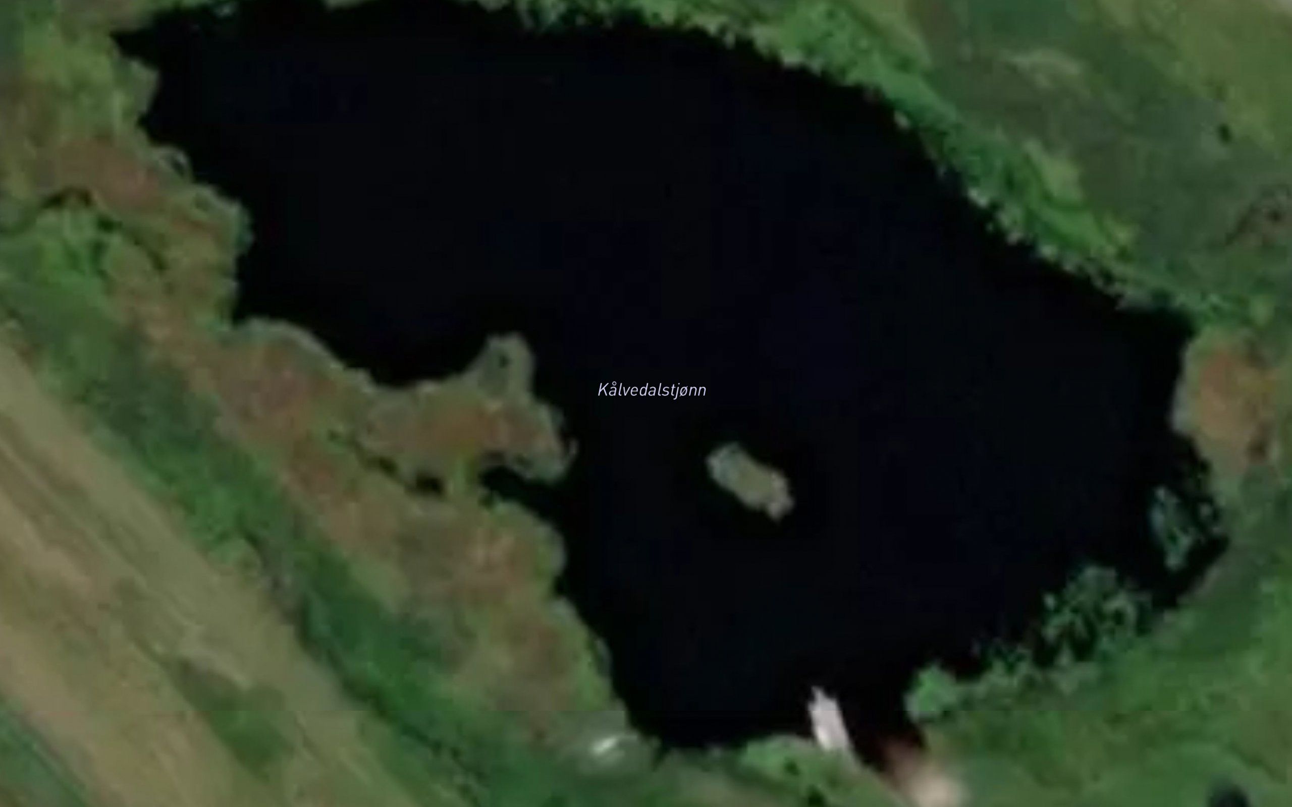 Kalvedalskjodna