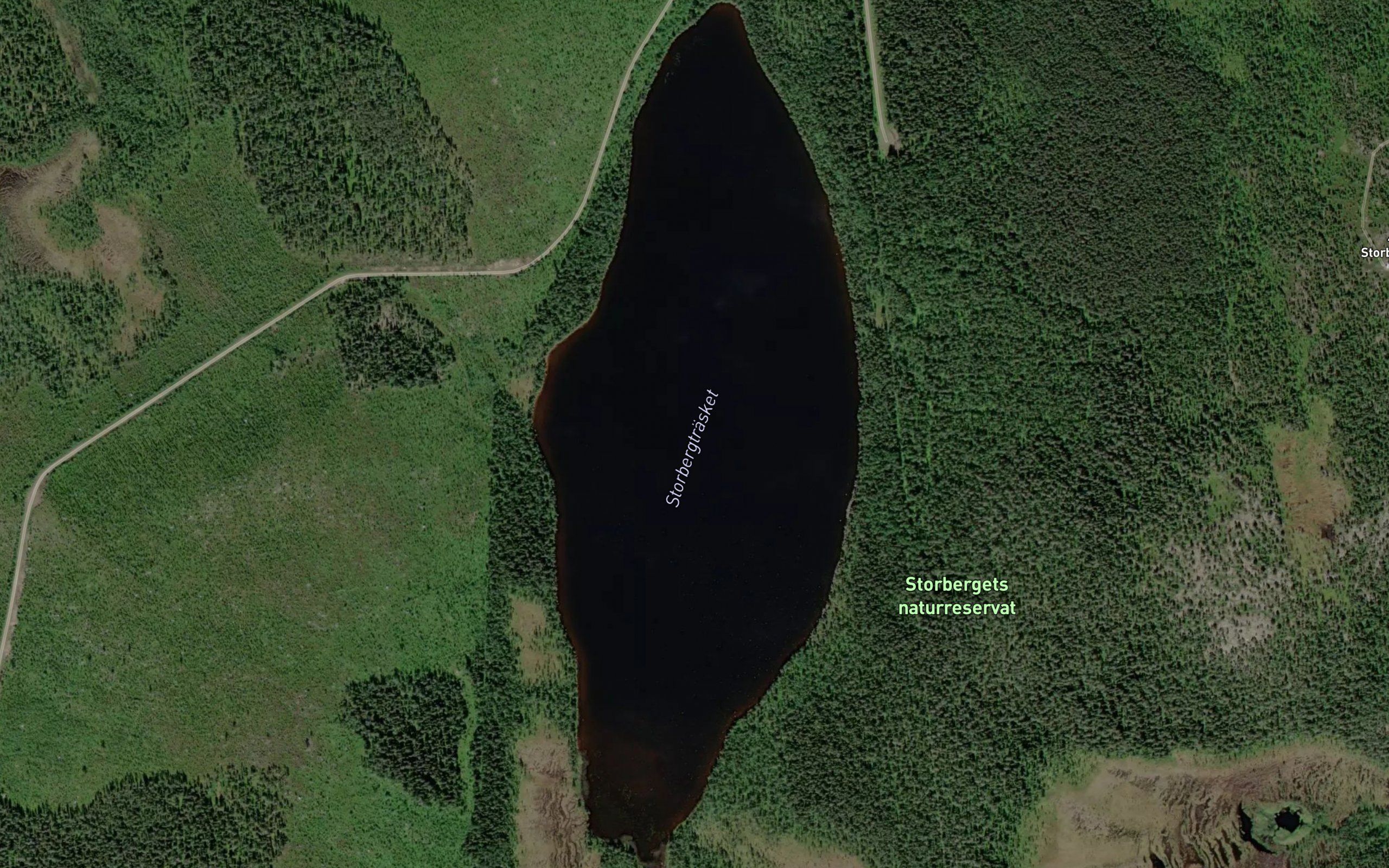 Storbergstraesket