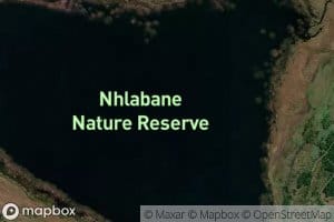 Nhlabane